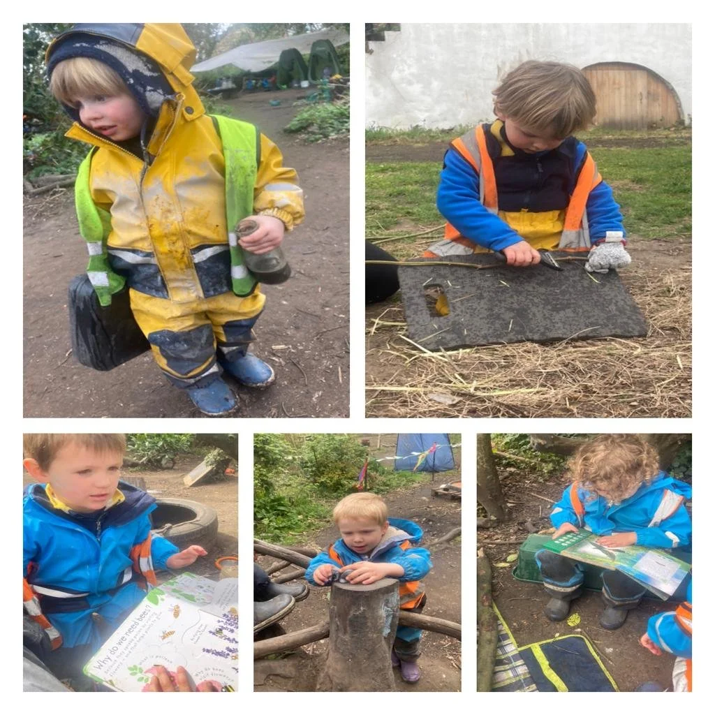 Twickenham - Welcomes, Winds and Whittling