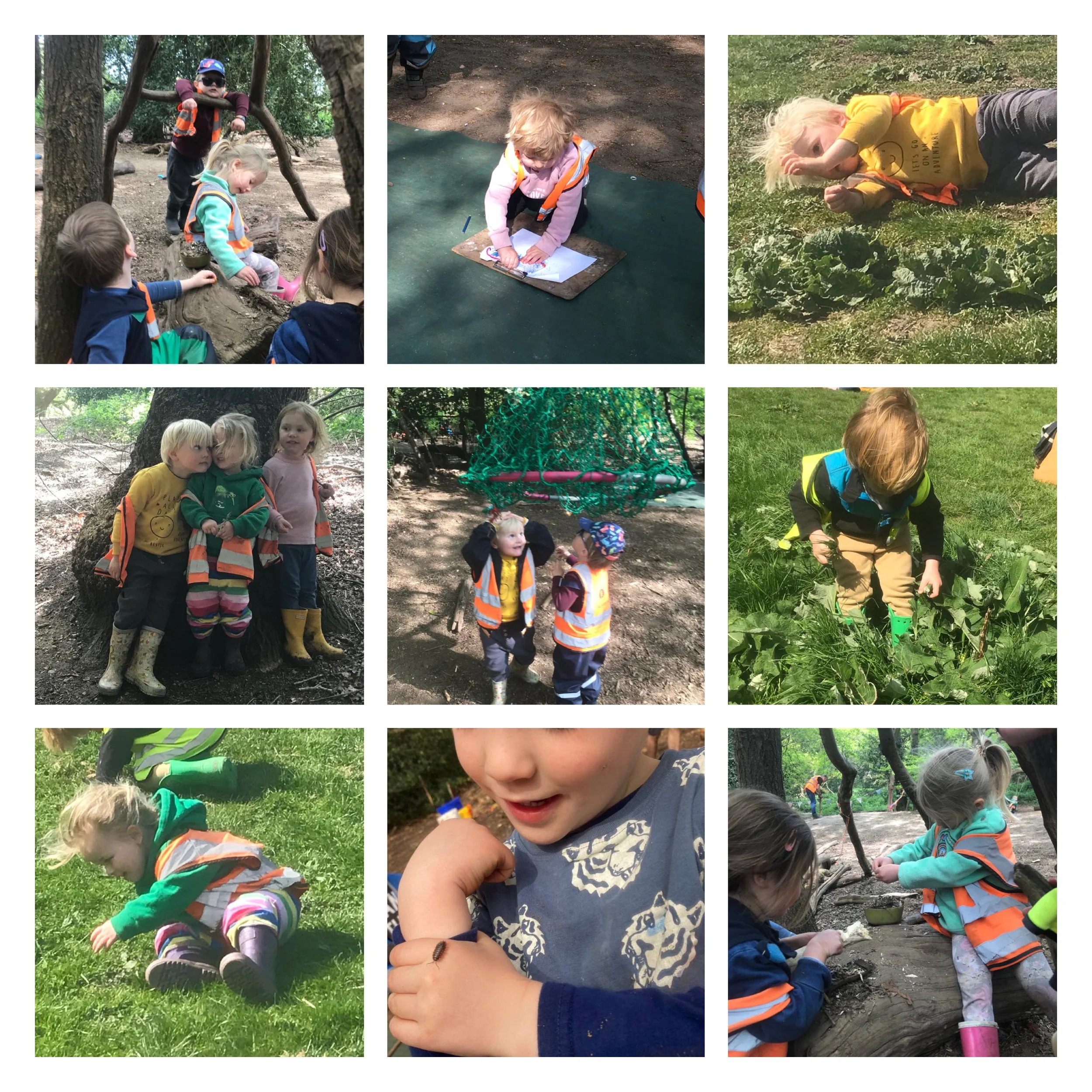 Wandsworth - Fluttering Butterflies