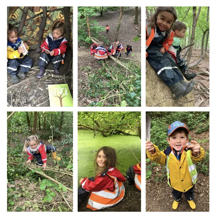 Wimbledon - Web Weavers