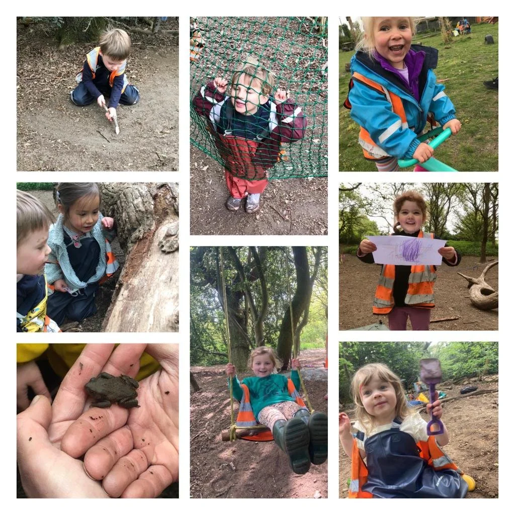 Wandsworth - Caterpillar Crazy