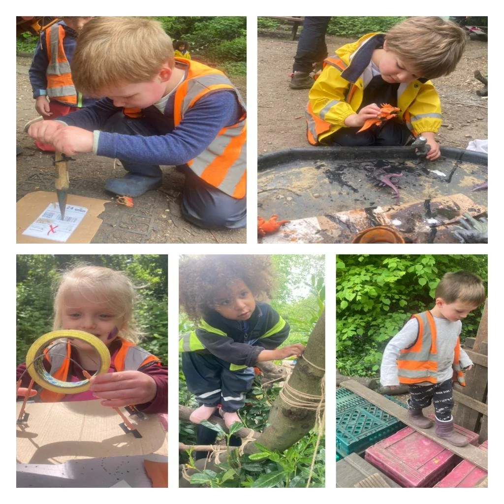 Twickenham - Forest Scientists