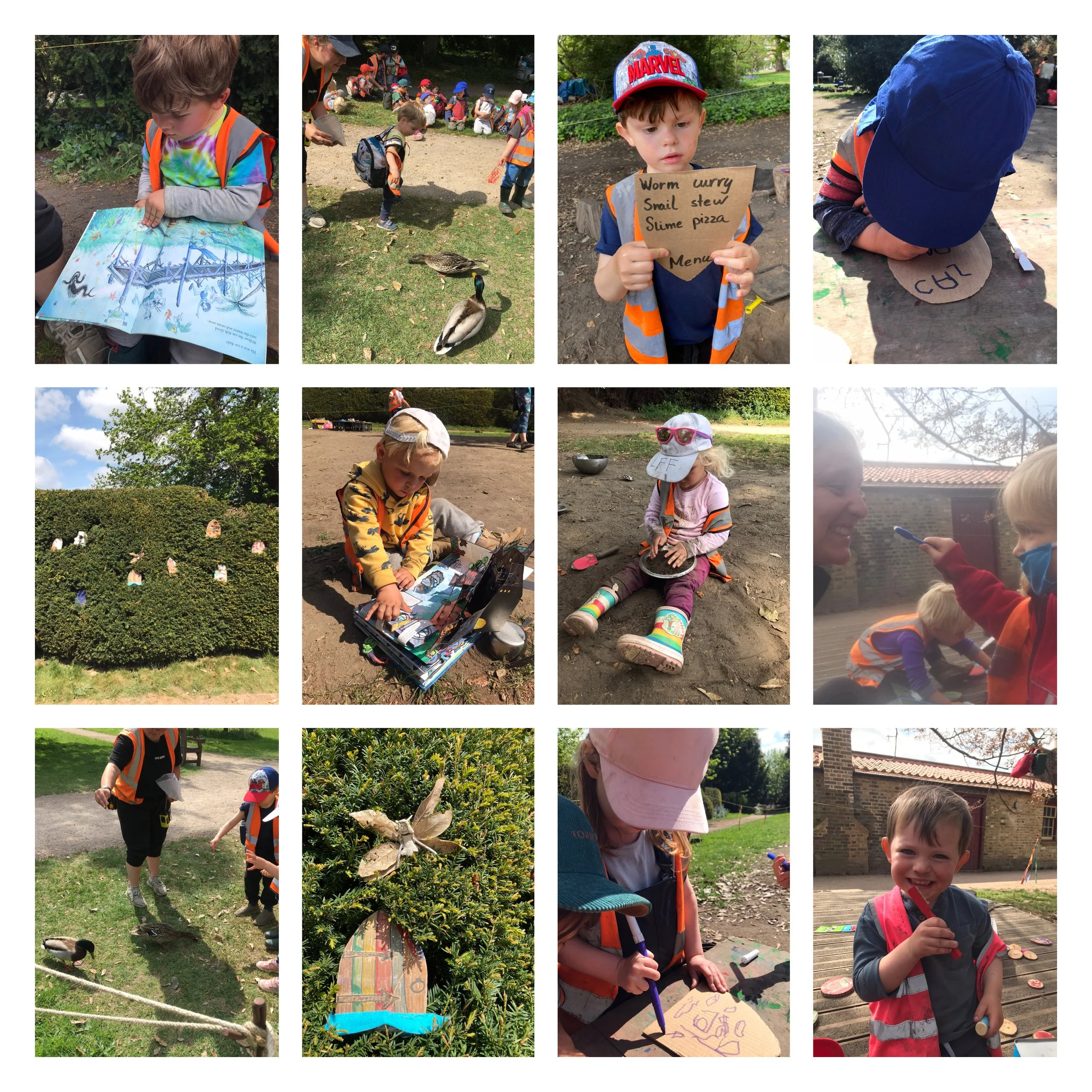 Fulham - Feathered Friends