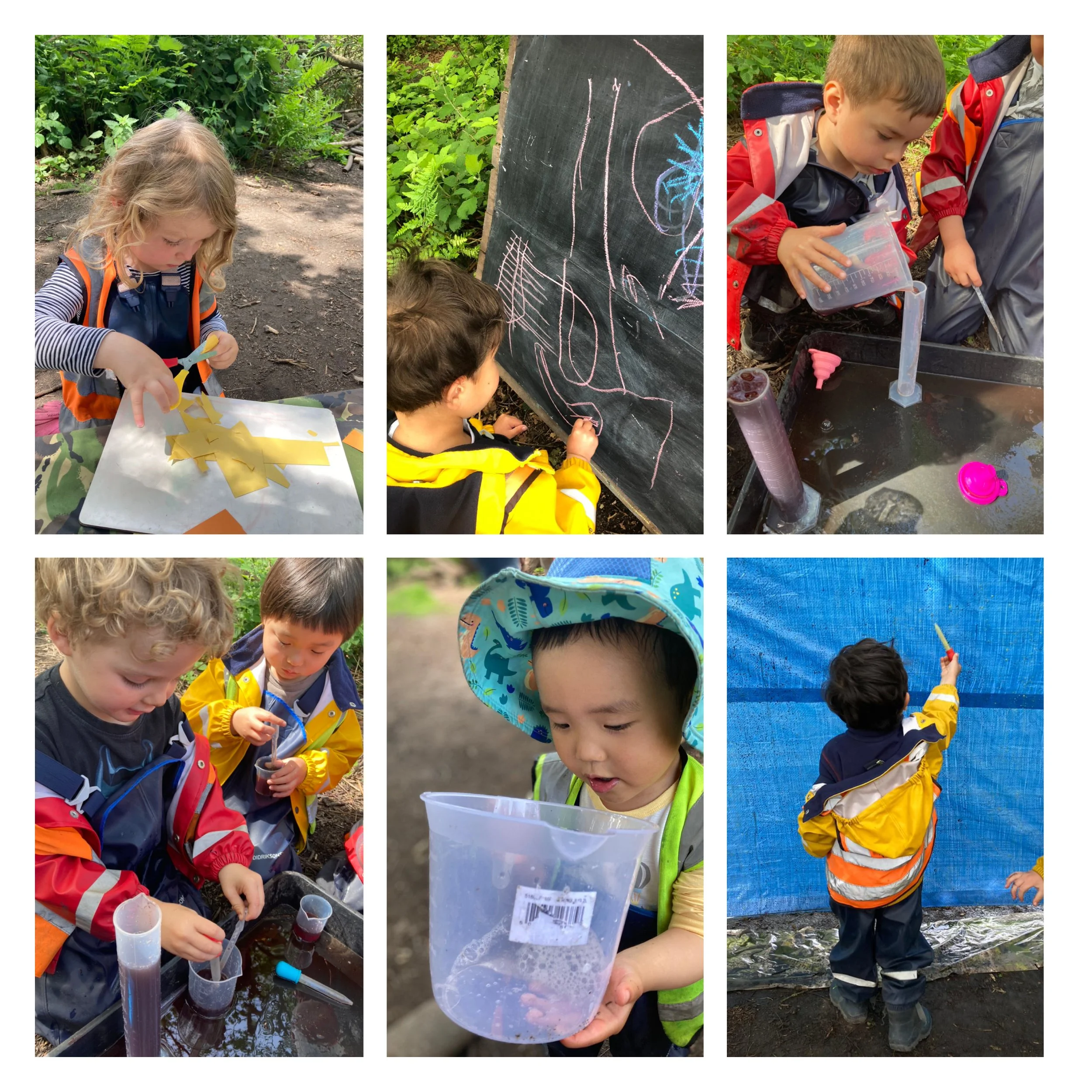 Wimbledon - A Field of Buttercups