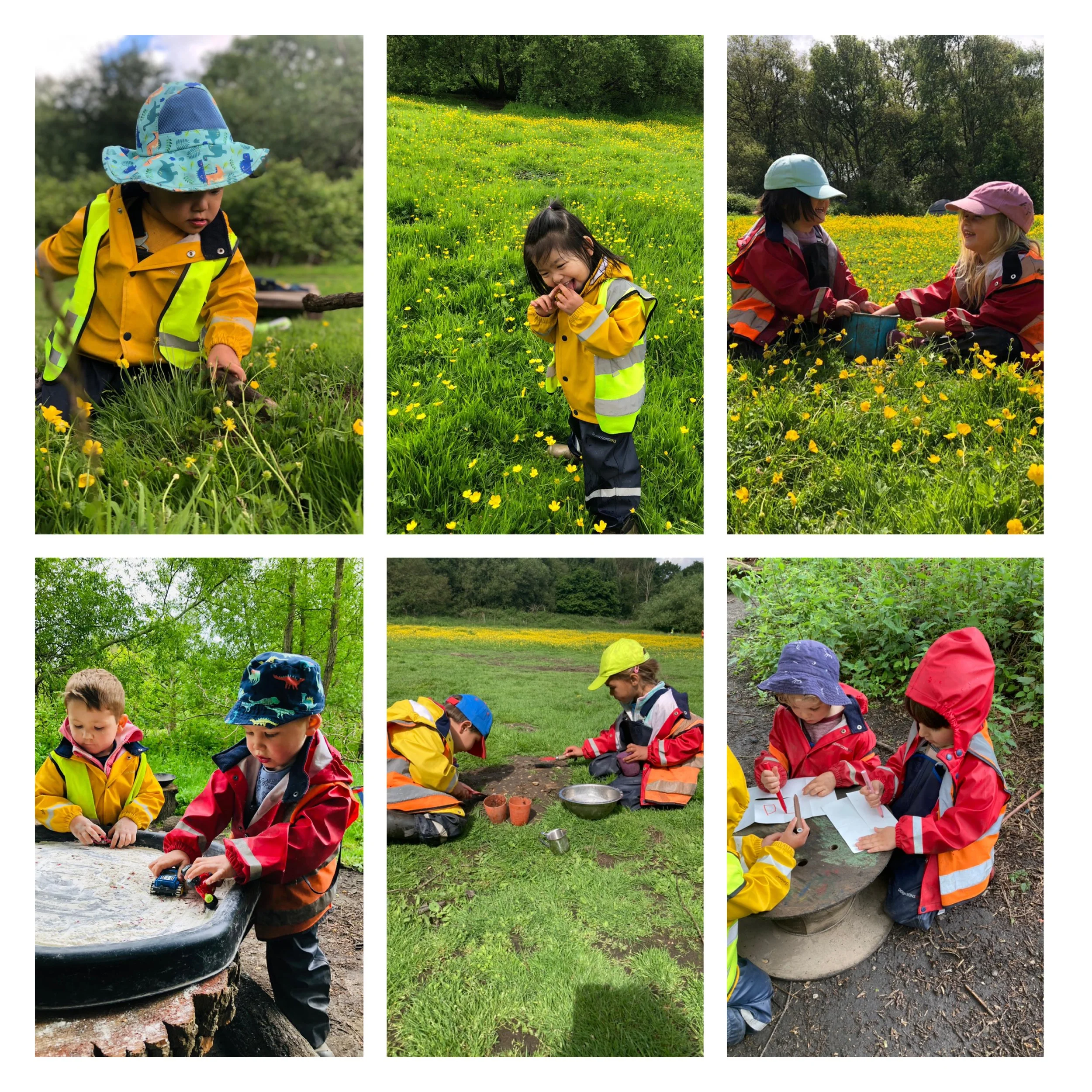 Wimbledon - Come Rain or Shine
