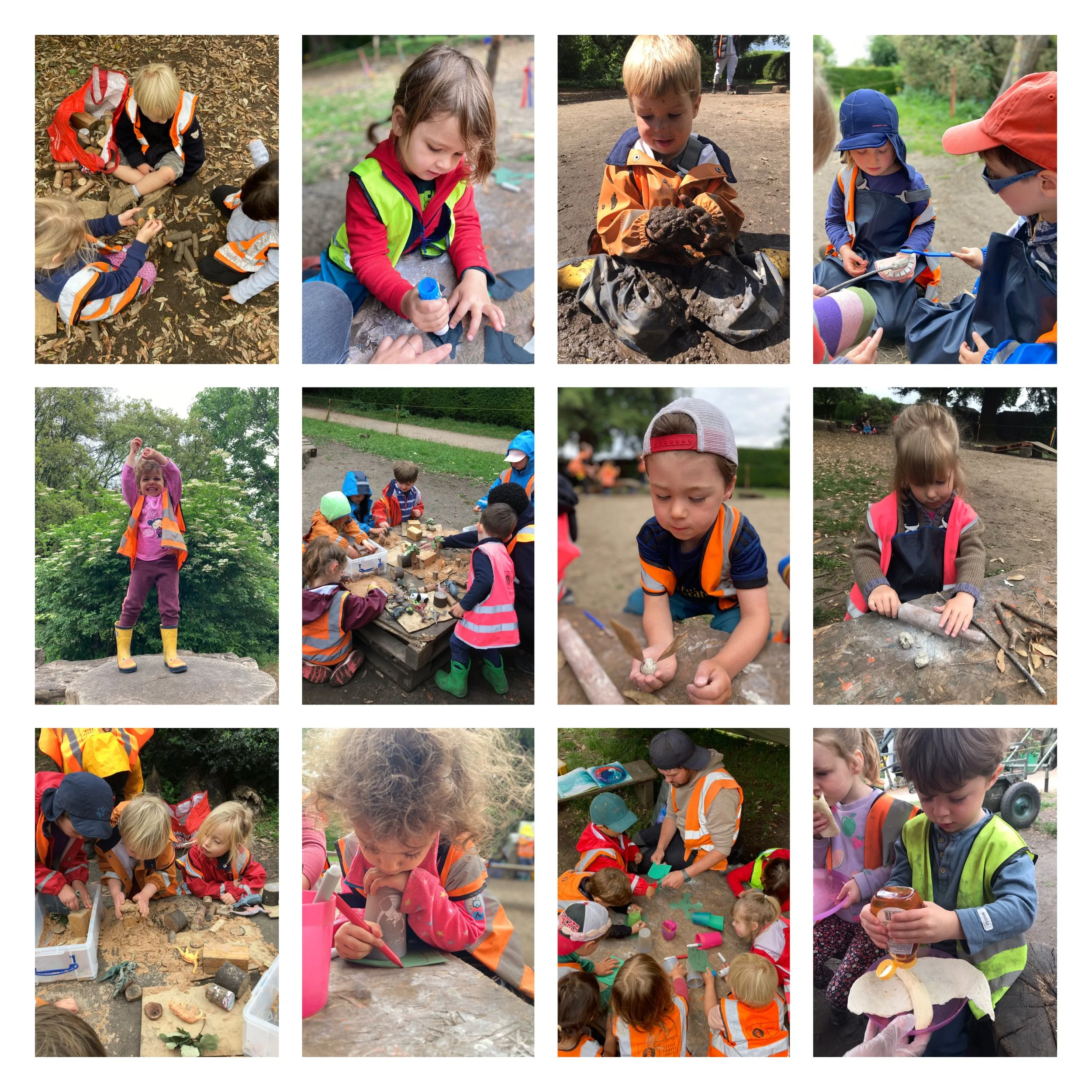 Fulham - Buzzing Bees and Terrific Turtles