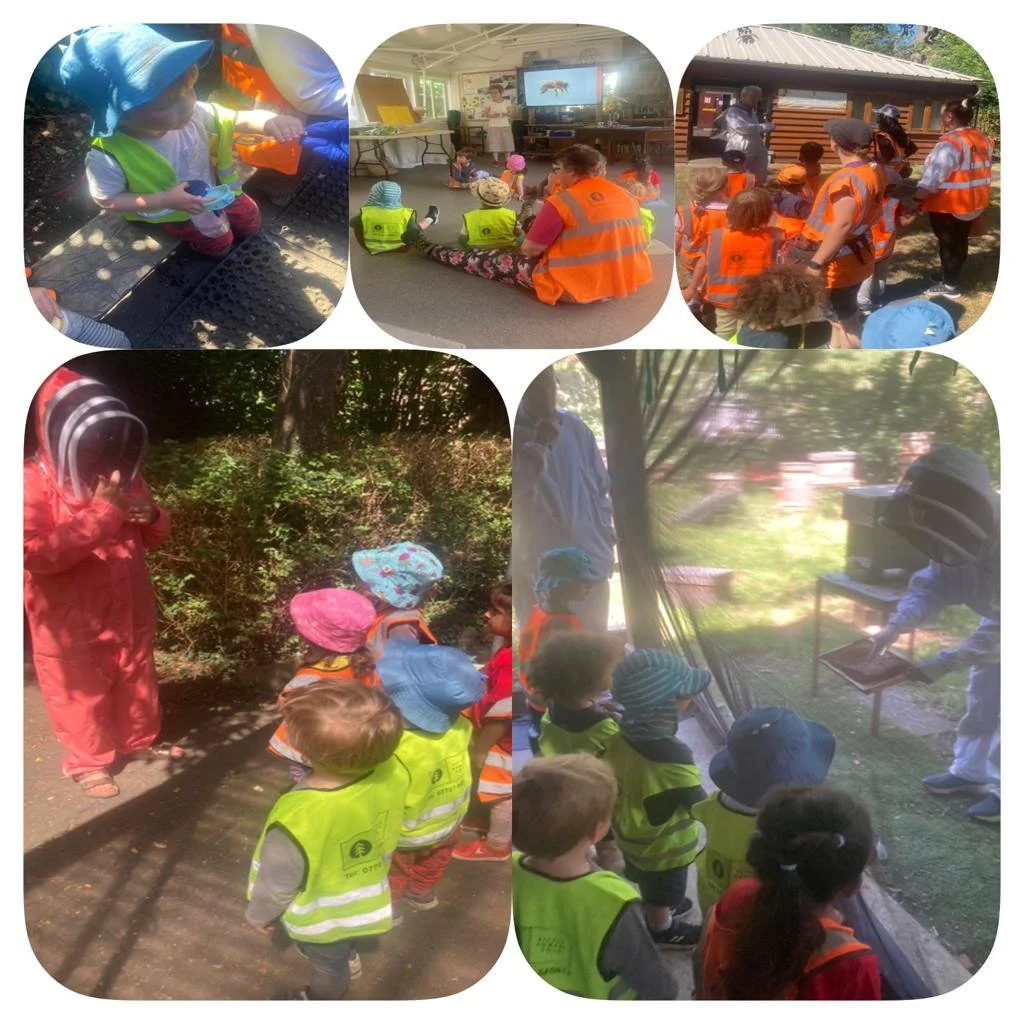 Twickenham - Busy Bees