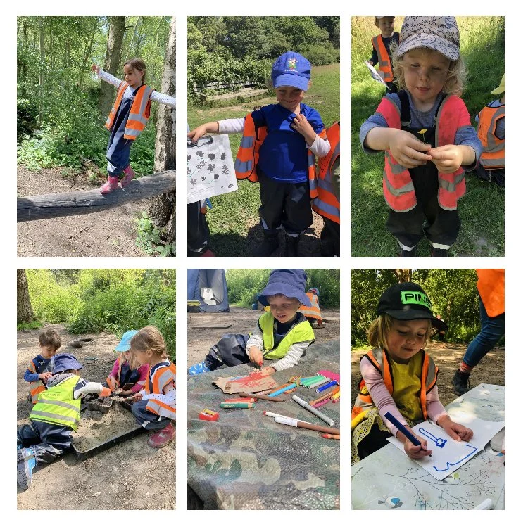 Wimbledon - Amazing Art