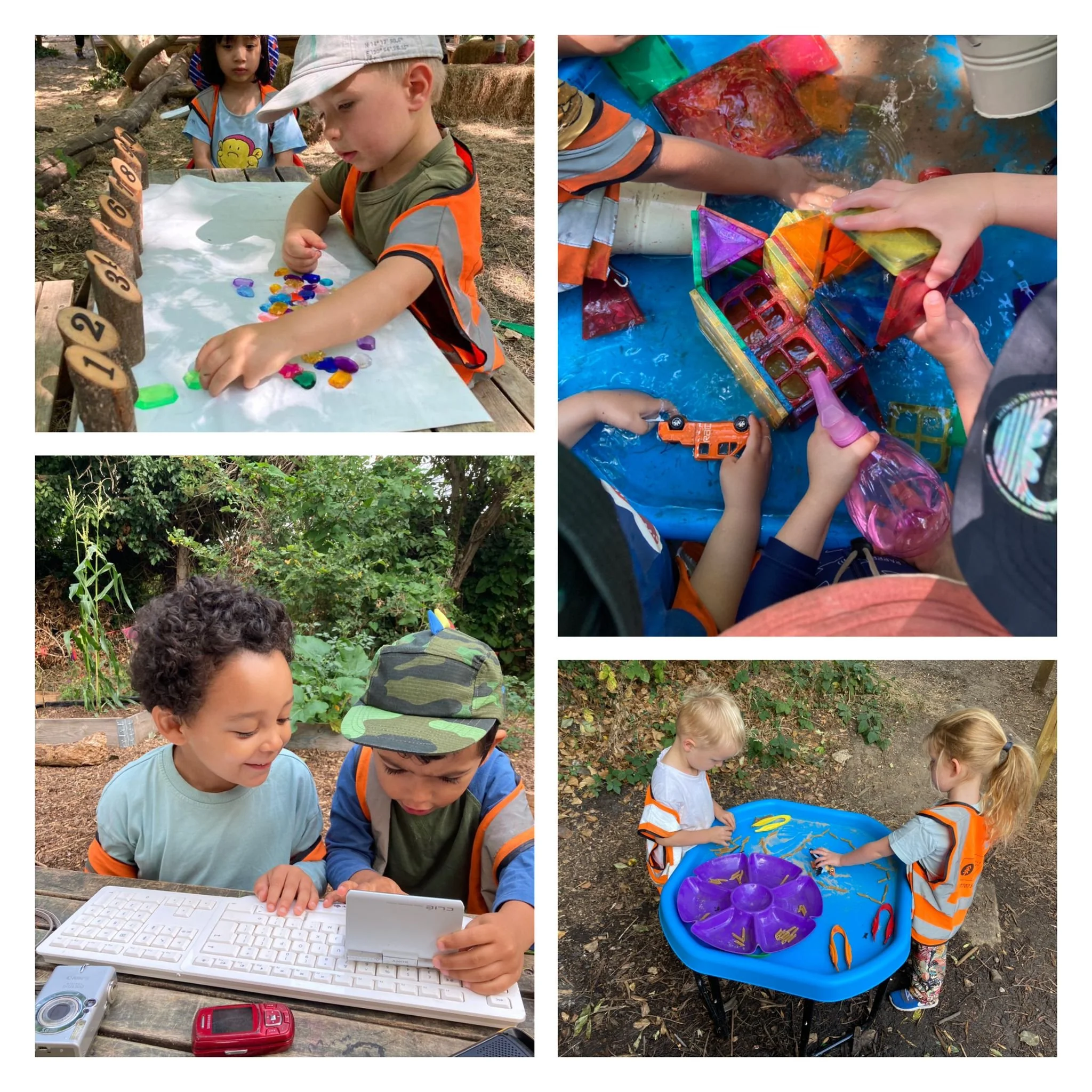 Morden - Golden Gorilla Apples