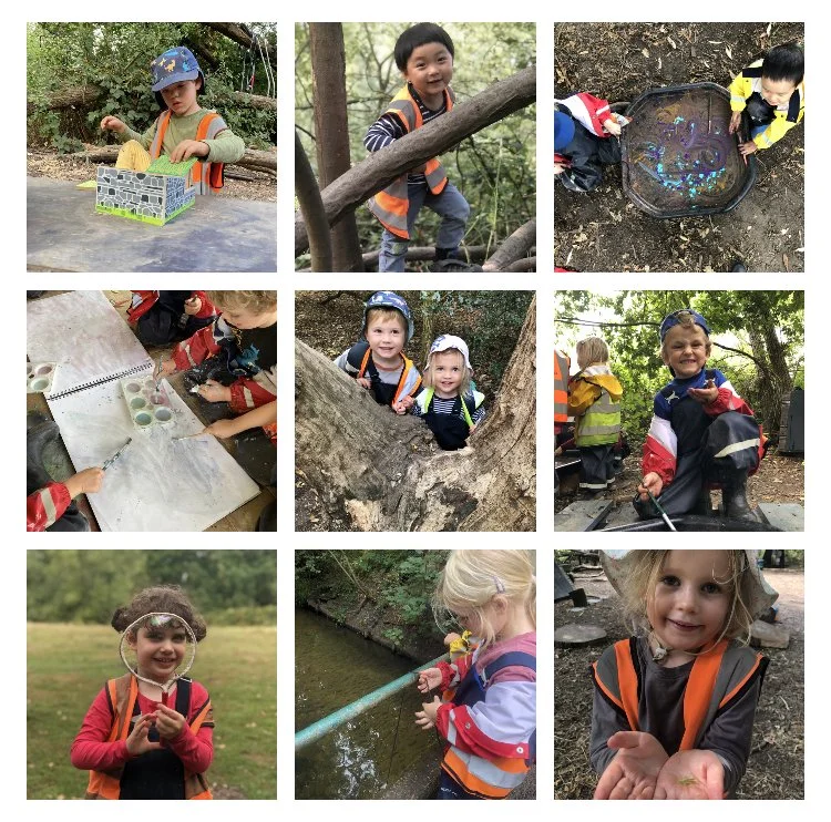 Wimbledon - Puddle Searching