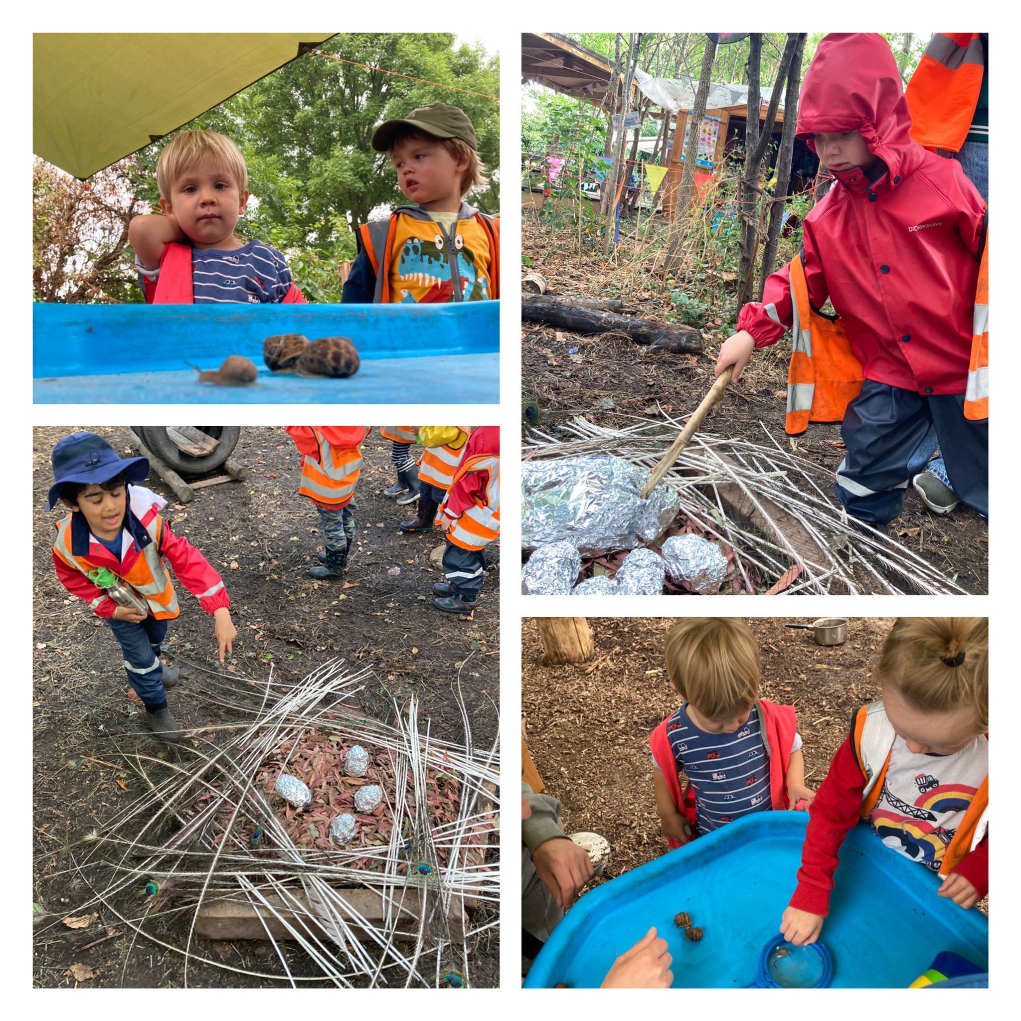 Morden - A Surprise Phoenix Nest! 