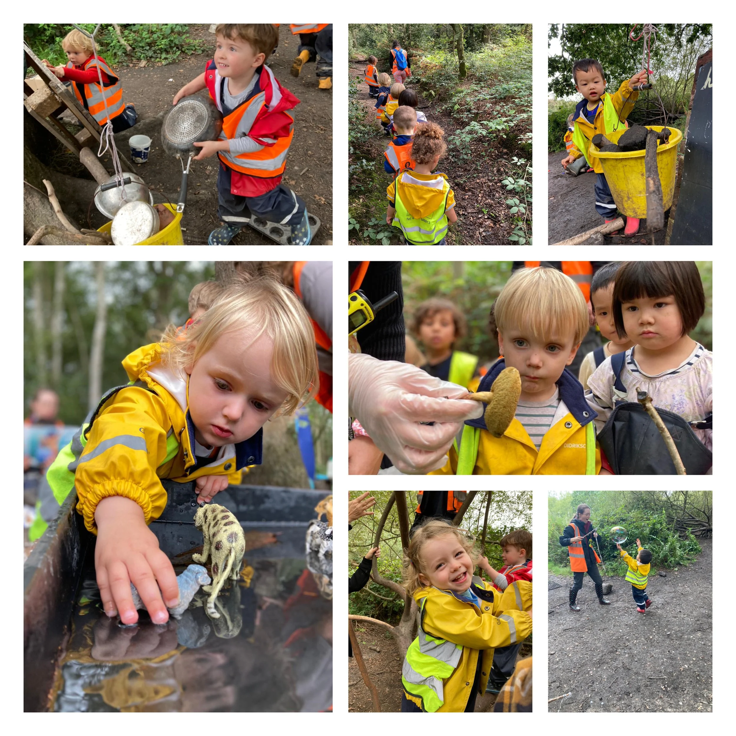 Wimbledon - Mushroom Hunting and Sensory Exploring 