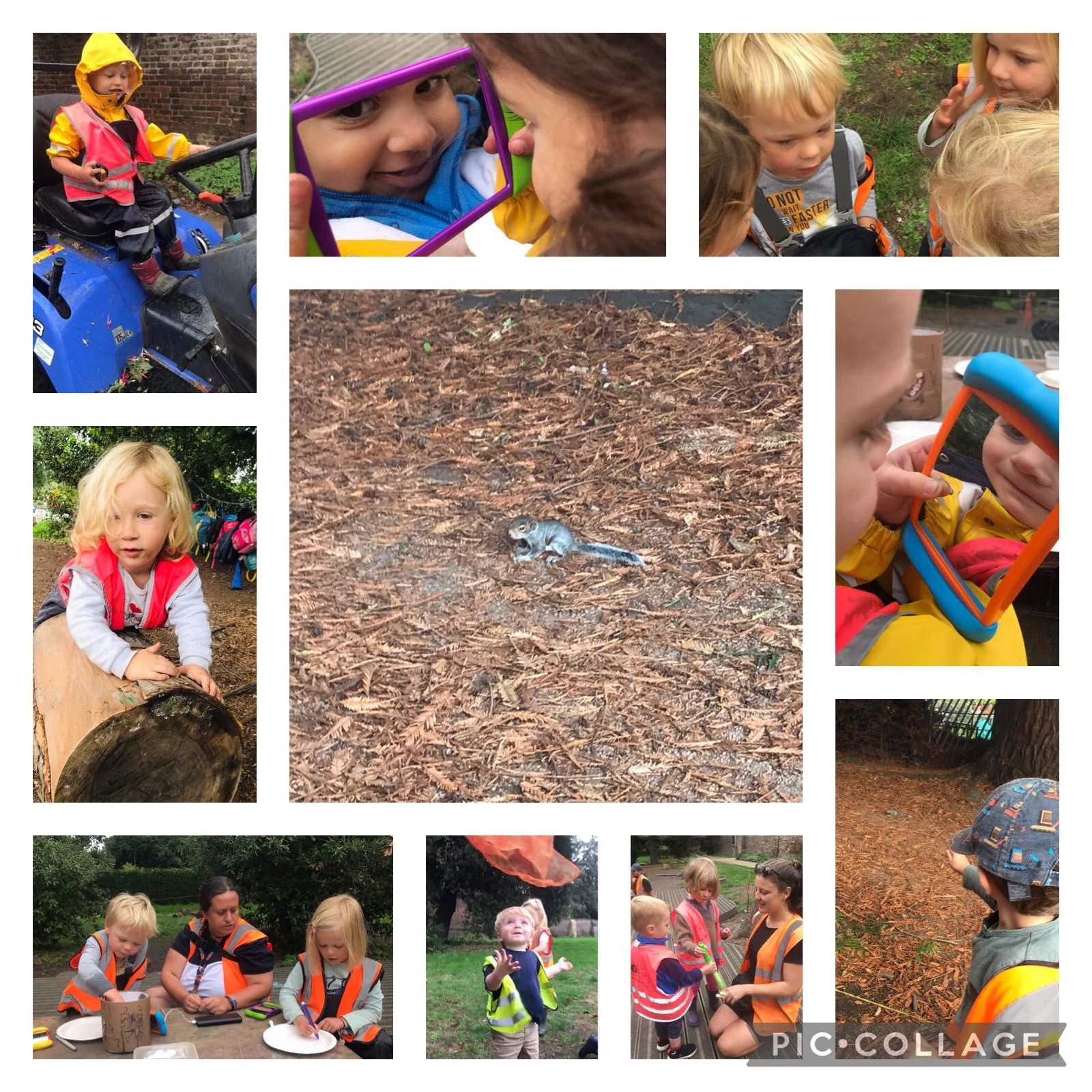 Fulham - A Nest of Squirrels