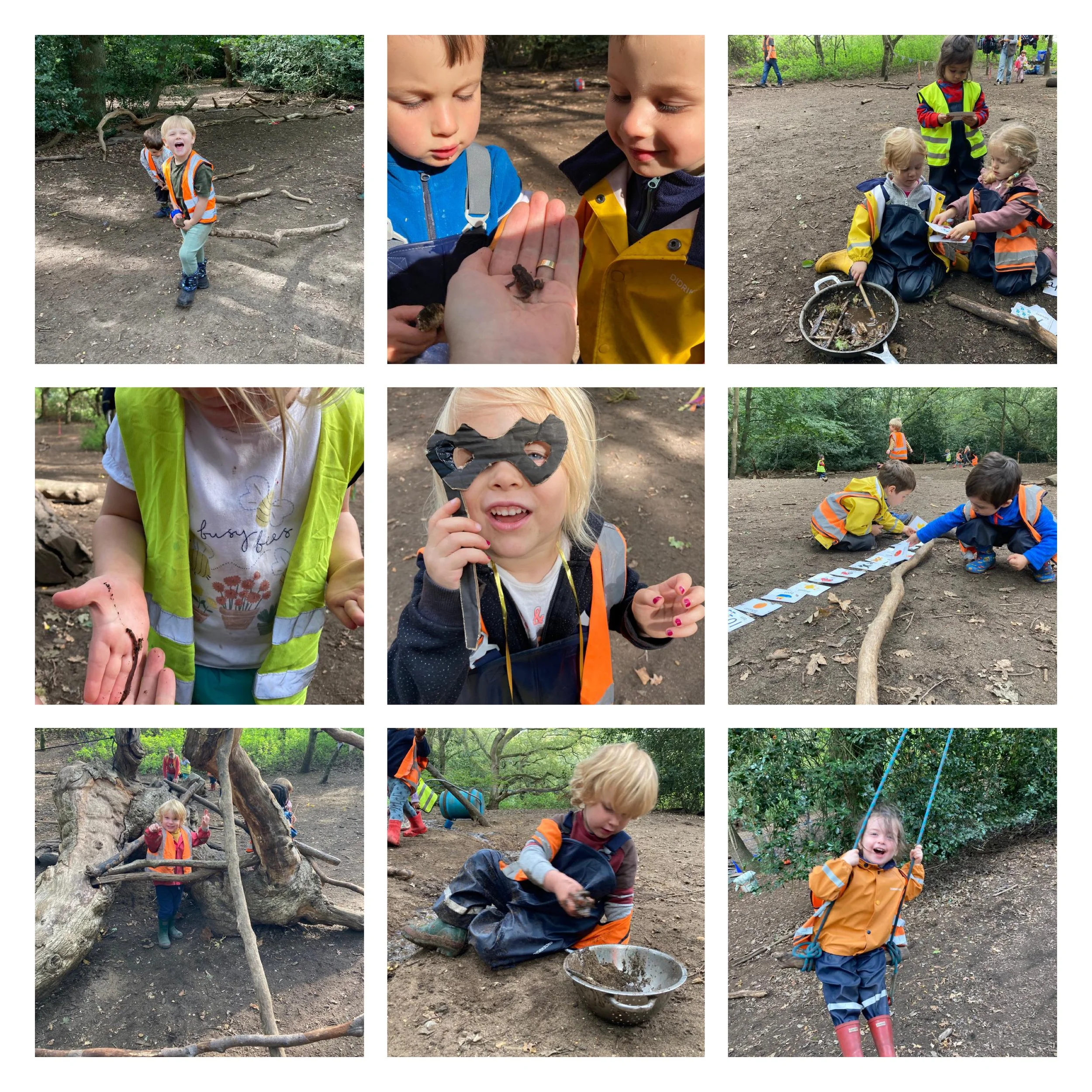 Wandsworth - harvesting the remaining tomatoes