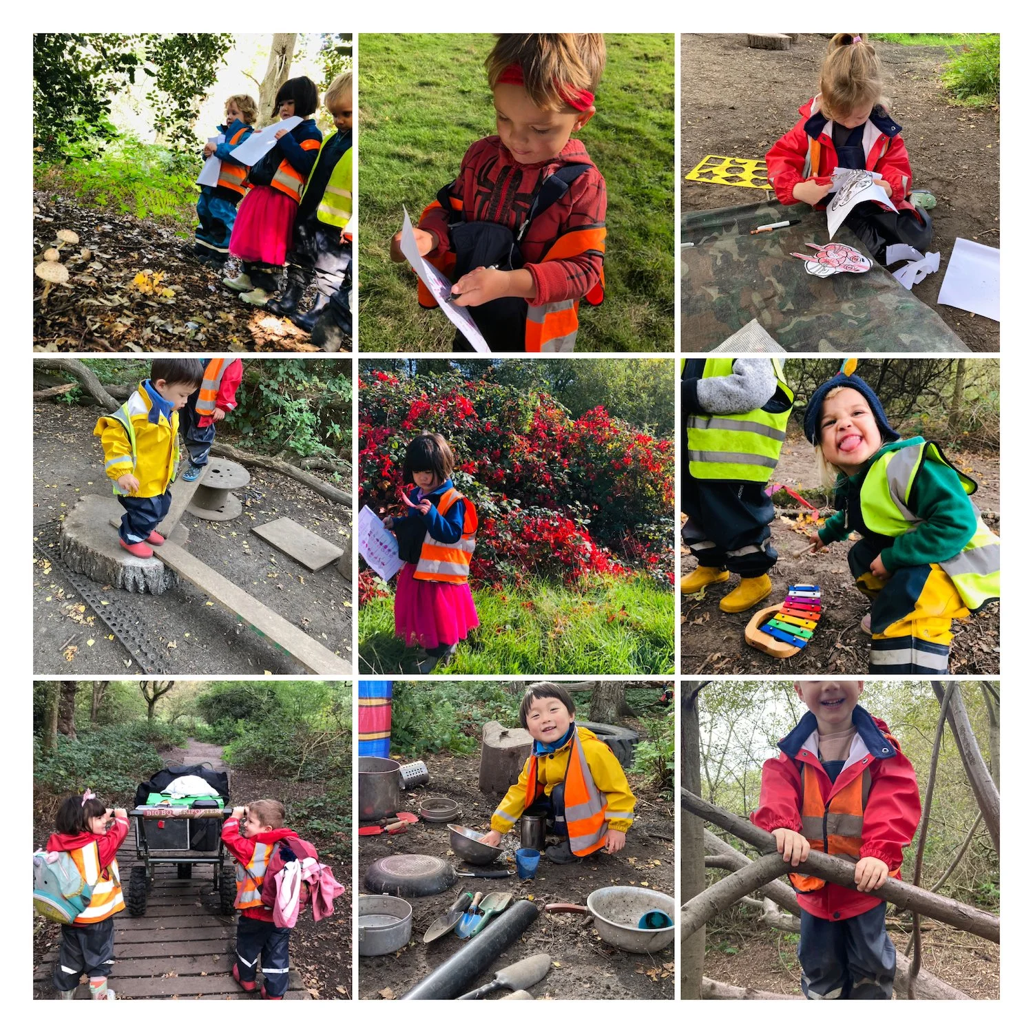 Wimbledon - Autumnal Adventures