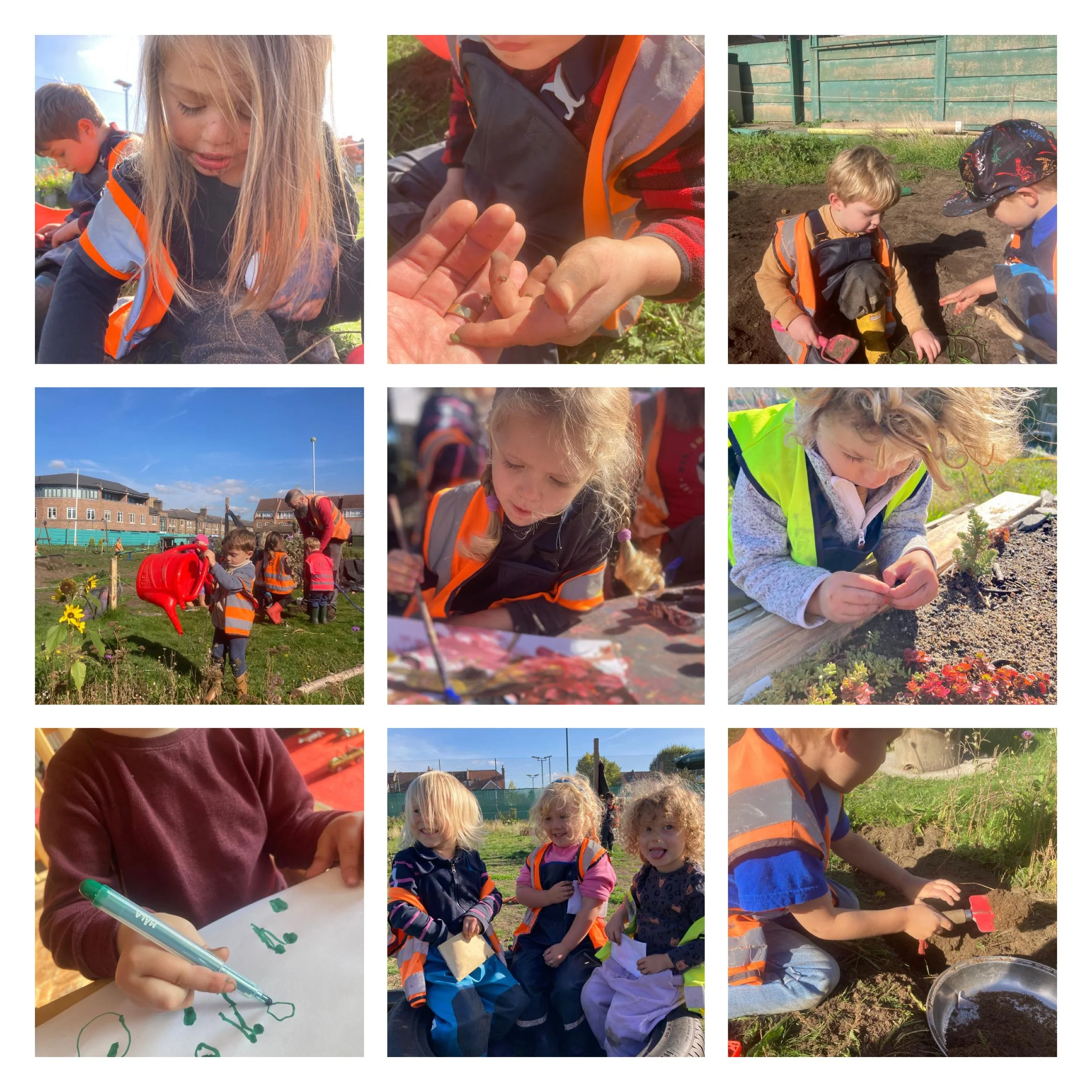 Wandsworth - Apples Galore