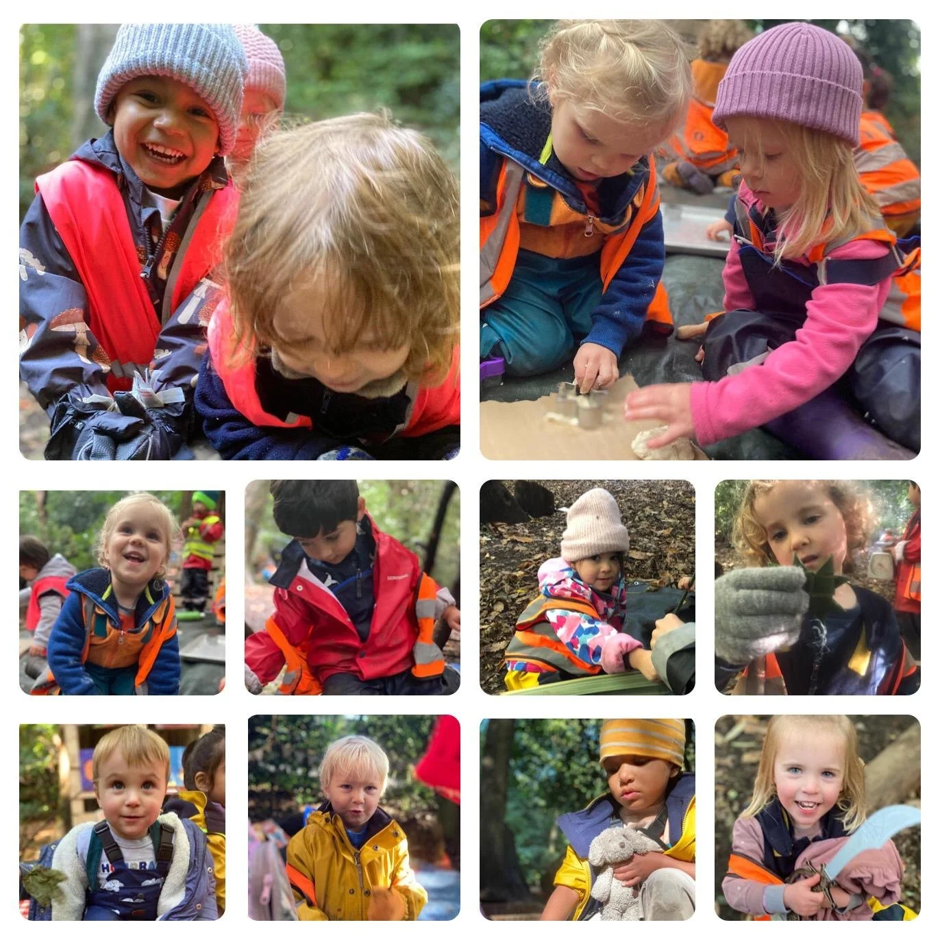 Chiswick - Exploring New Zealand!