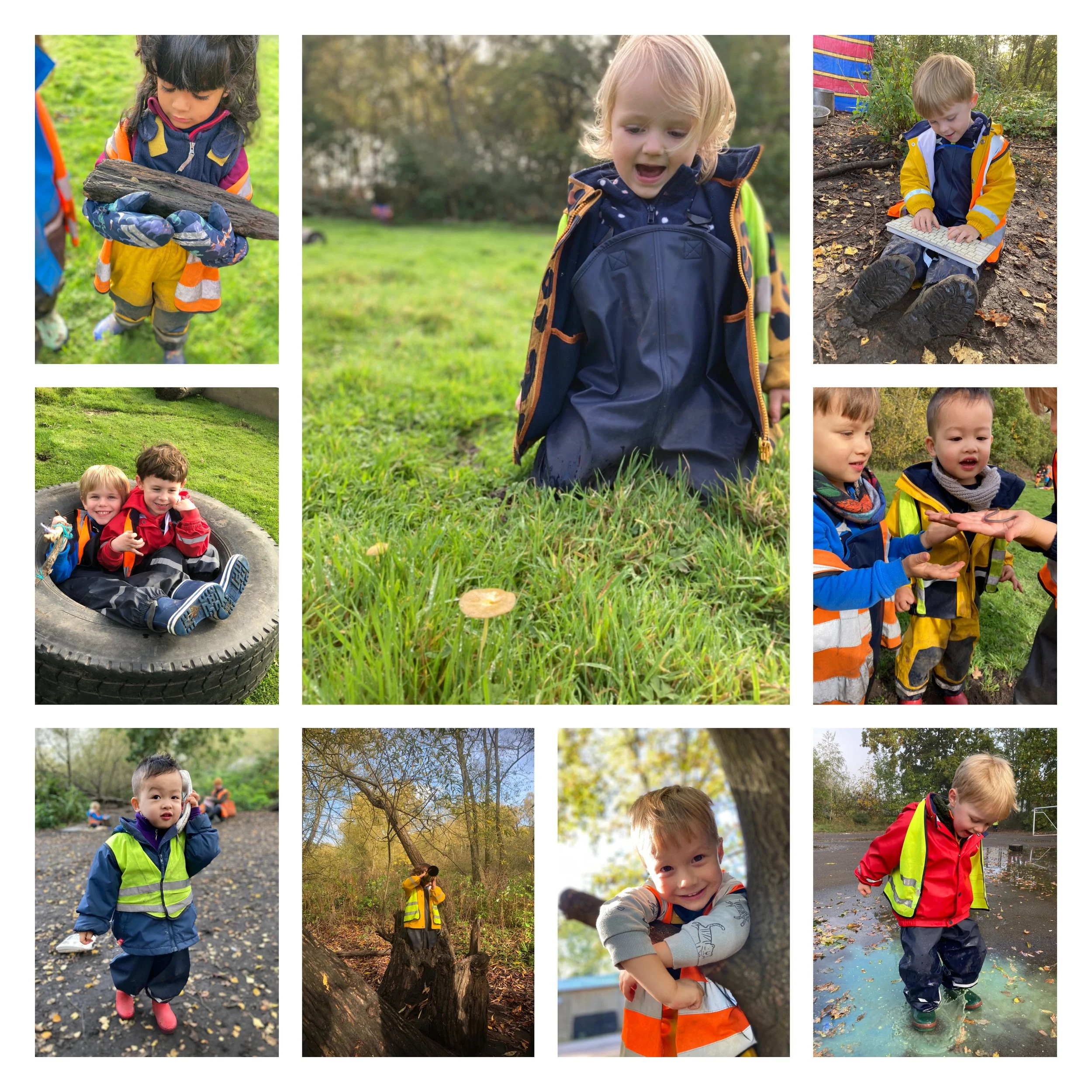 Wimbledon - Obstacle courses and mushroom hunting! 