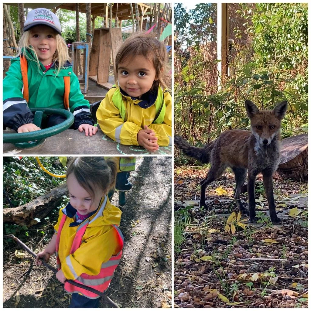 Morden - We’re going on Safari!! 