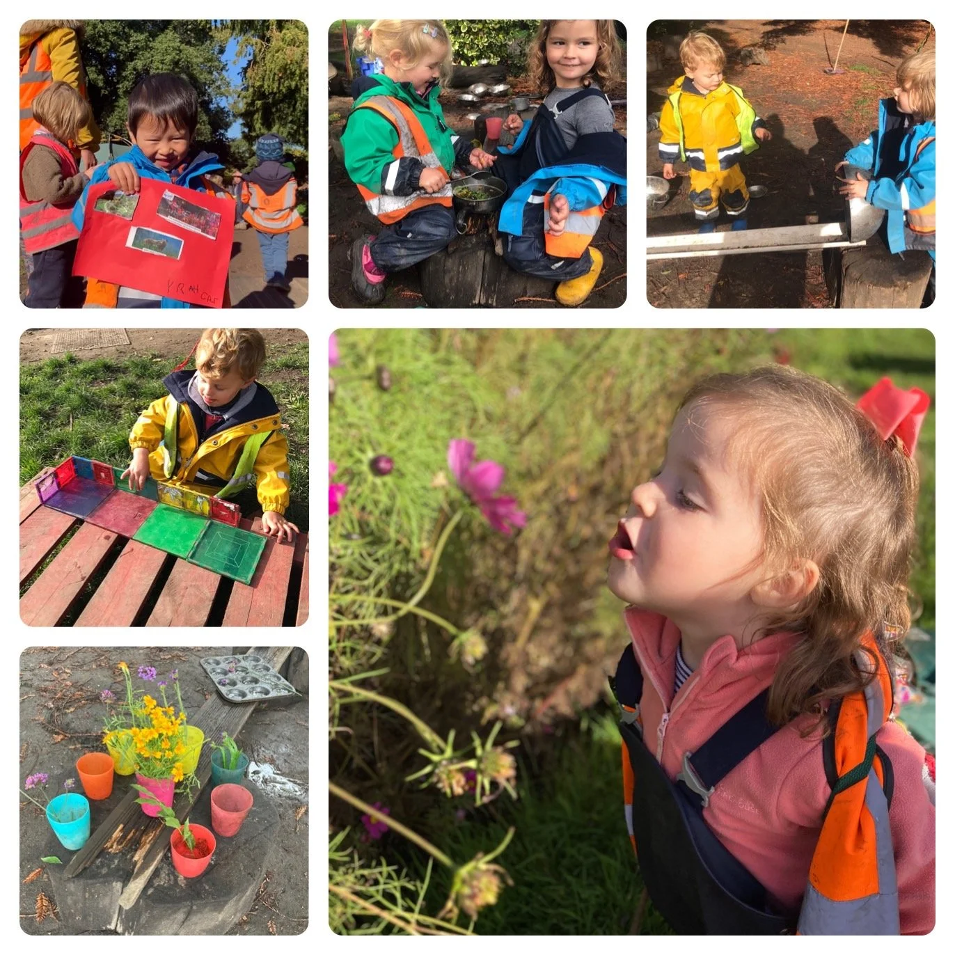 Fulham - Nature’s playground 