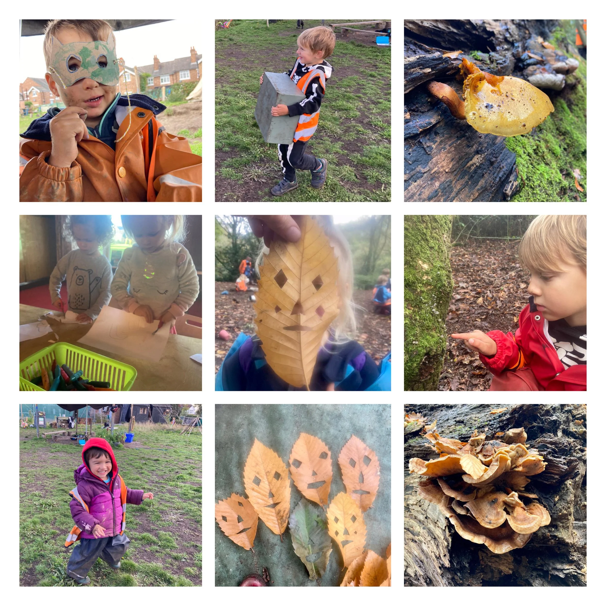 Wandsworth - We’re going on a mushroom hunt! 