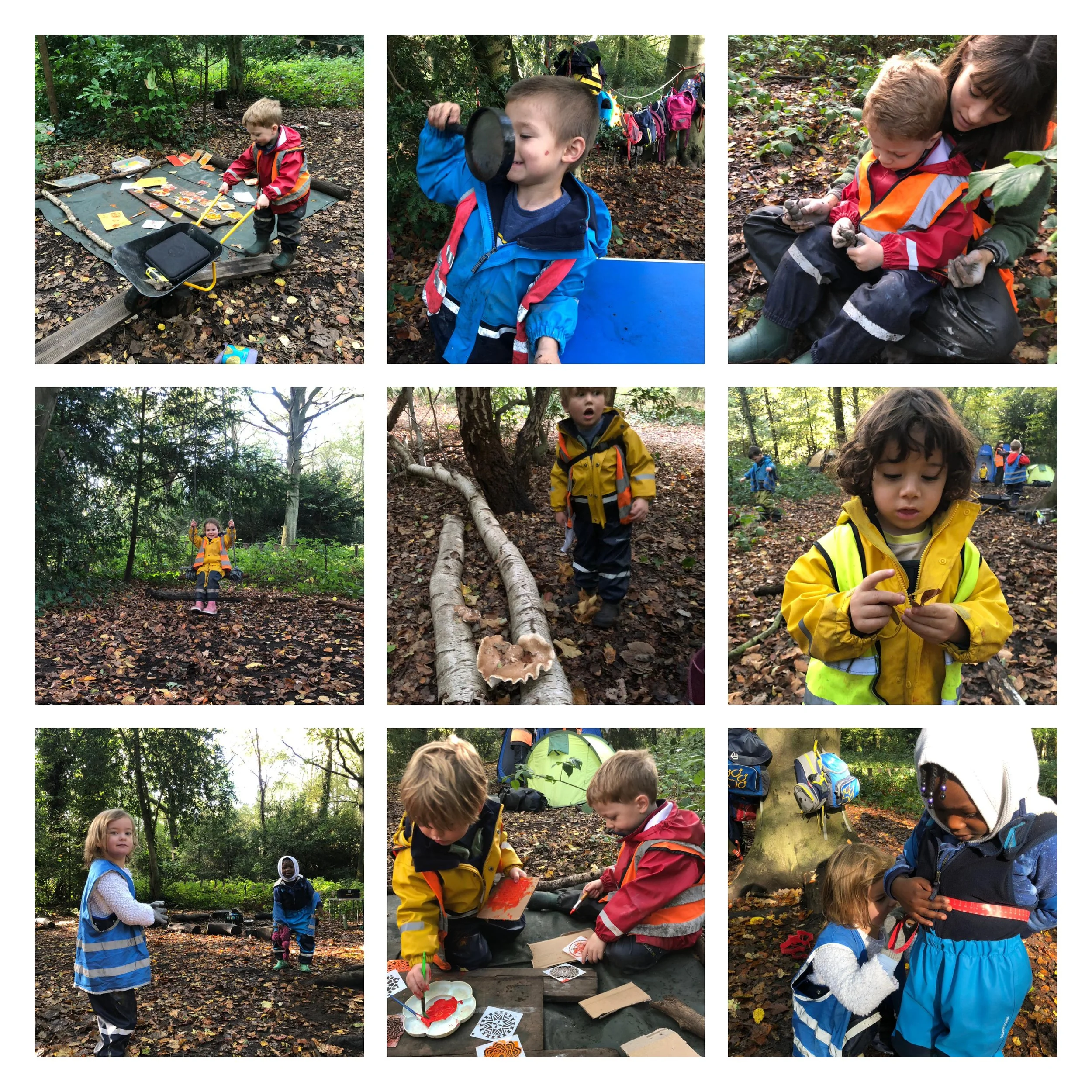 Putney Heath - Magical Mushroom Adventure