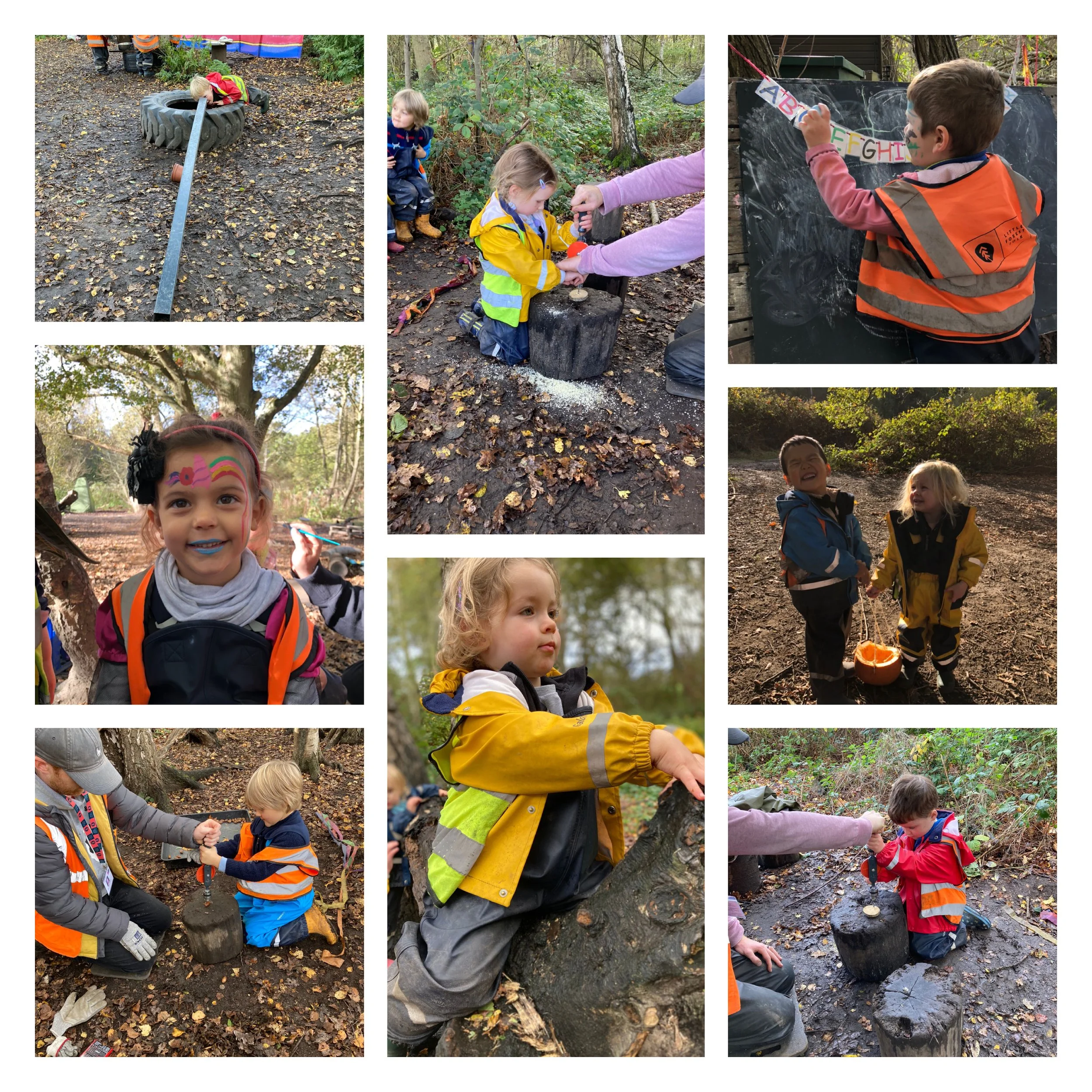 Wimbledon - Adventure Walks &amp; Pumpkin Bird Feeders