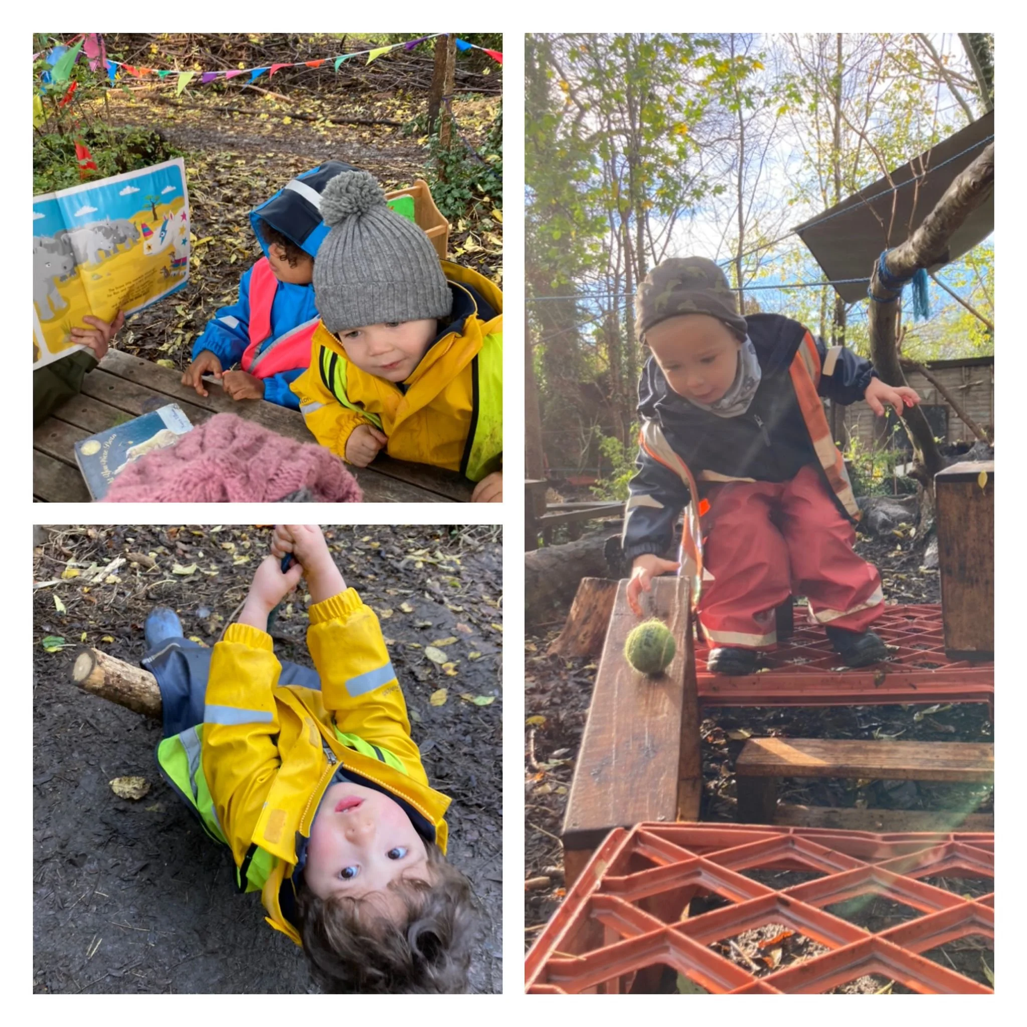 Morden - A Physical Week in the Forest