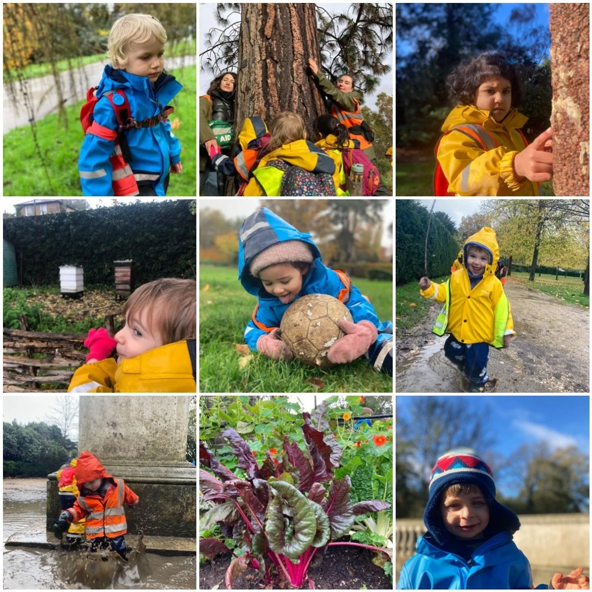 Chiswick - Kew Gardens, Planting and Leaf Printing 
