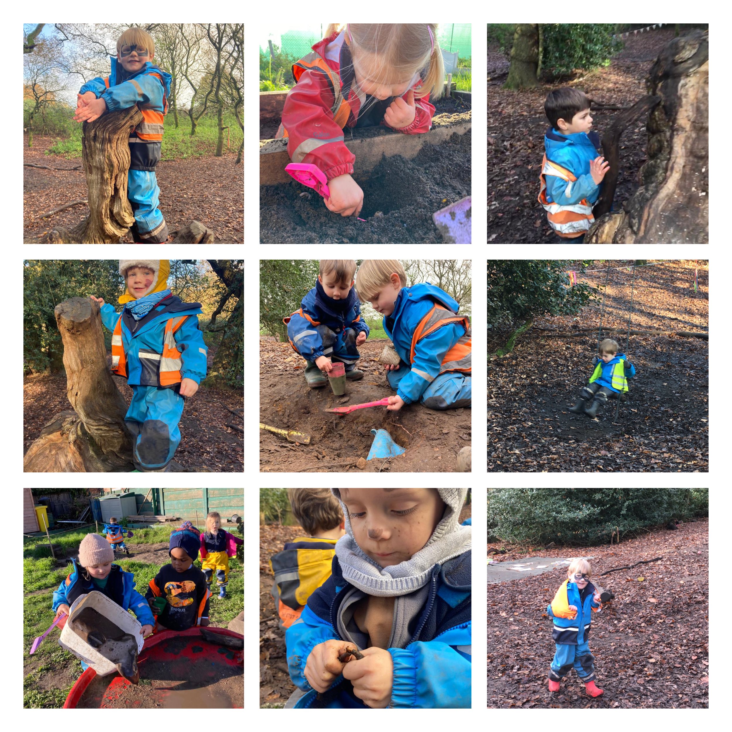 Wandsworth - Daffodil Bulb Planting