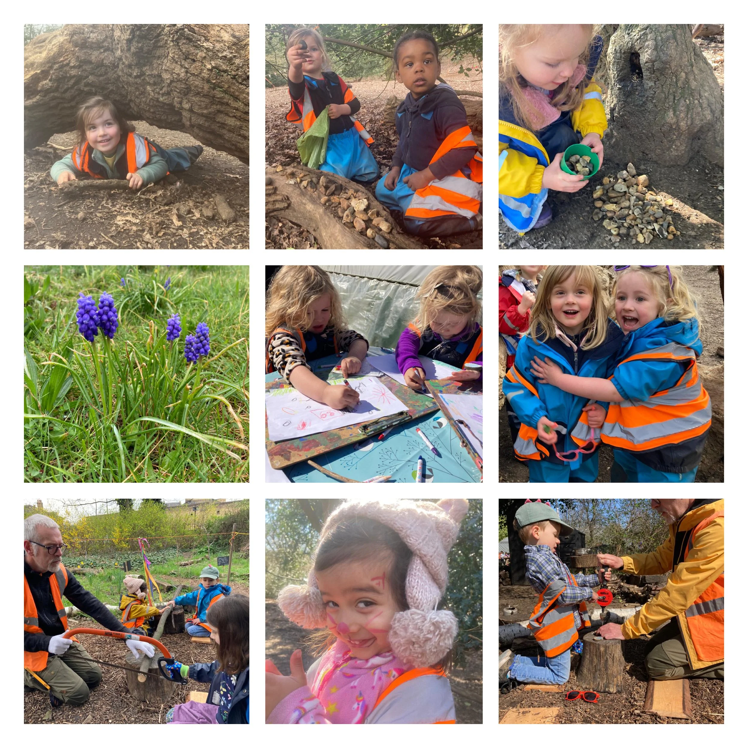 Wandsworth - Paradise Cooperative Community Gardens, Our New Home!