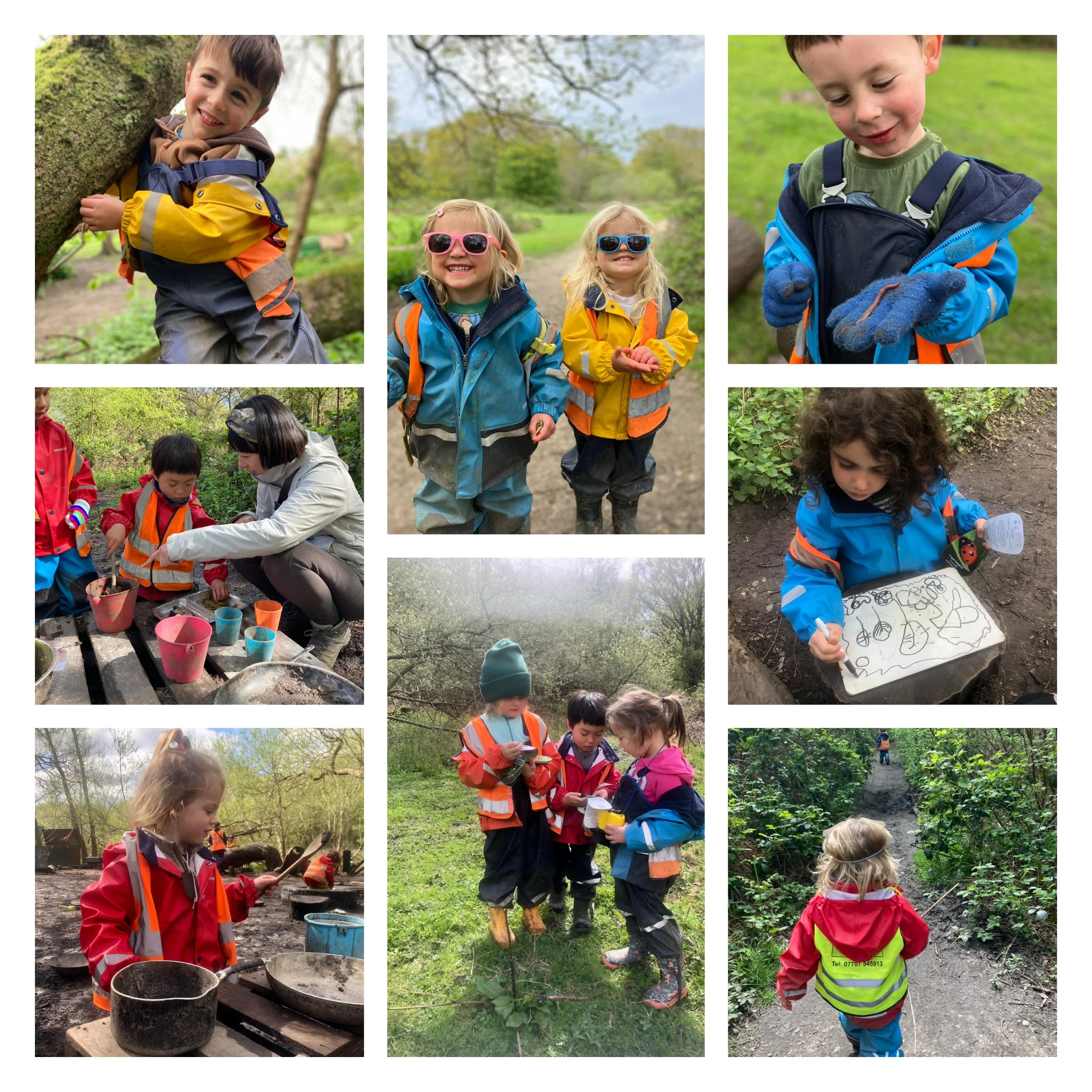 Wimbledon - Animals Galore!