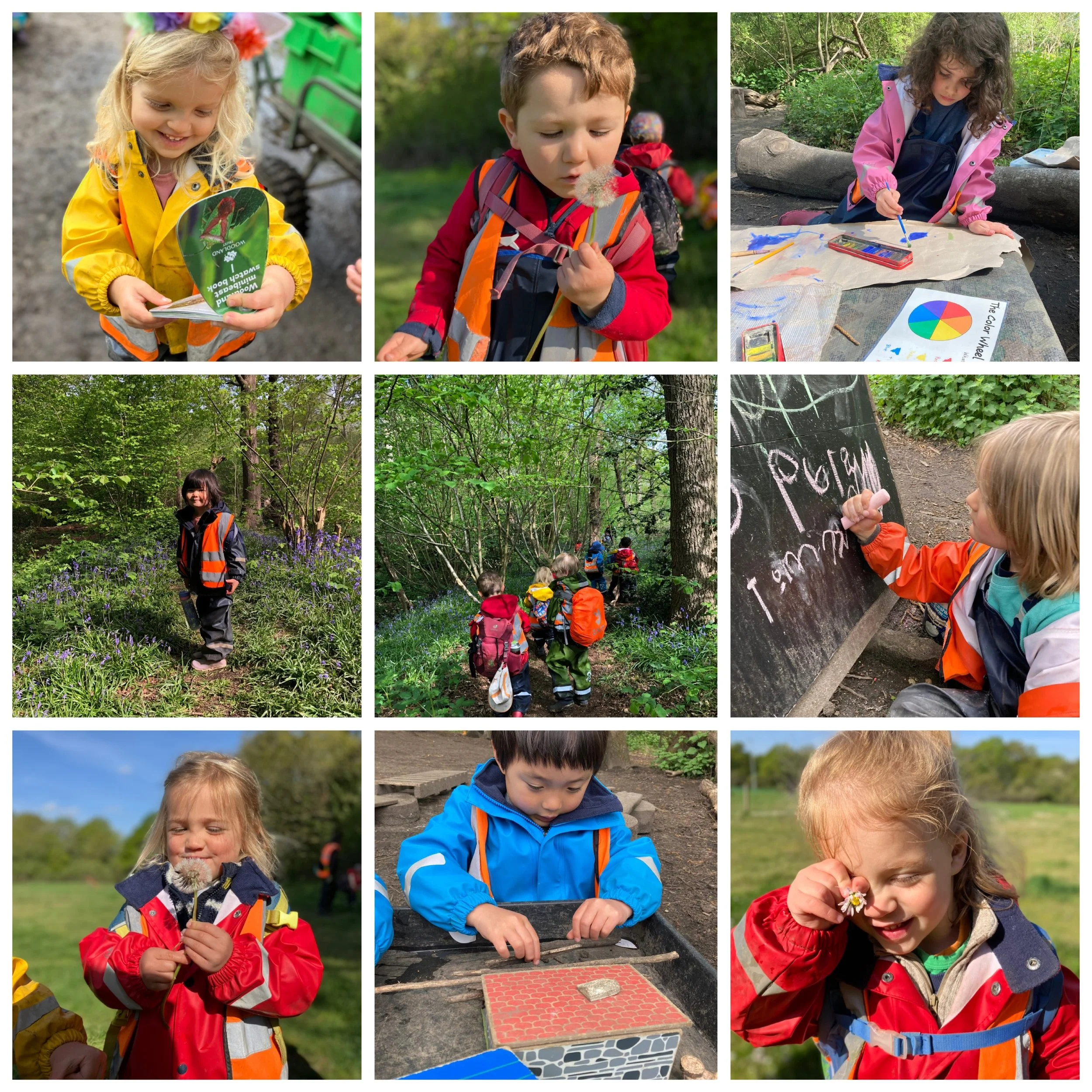 Wimbledon - A Forest Tea Party