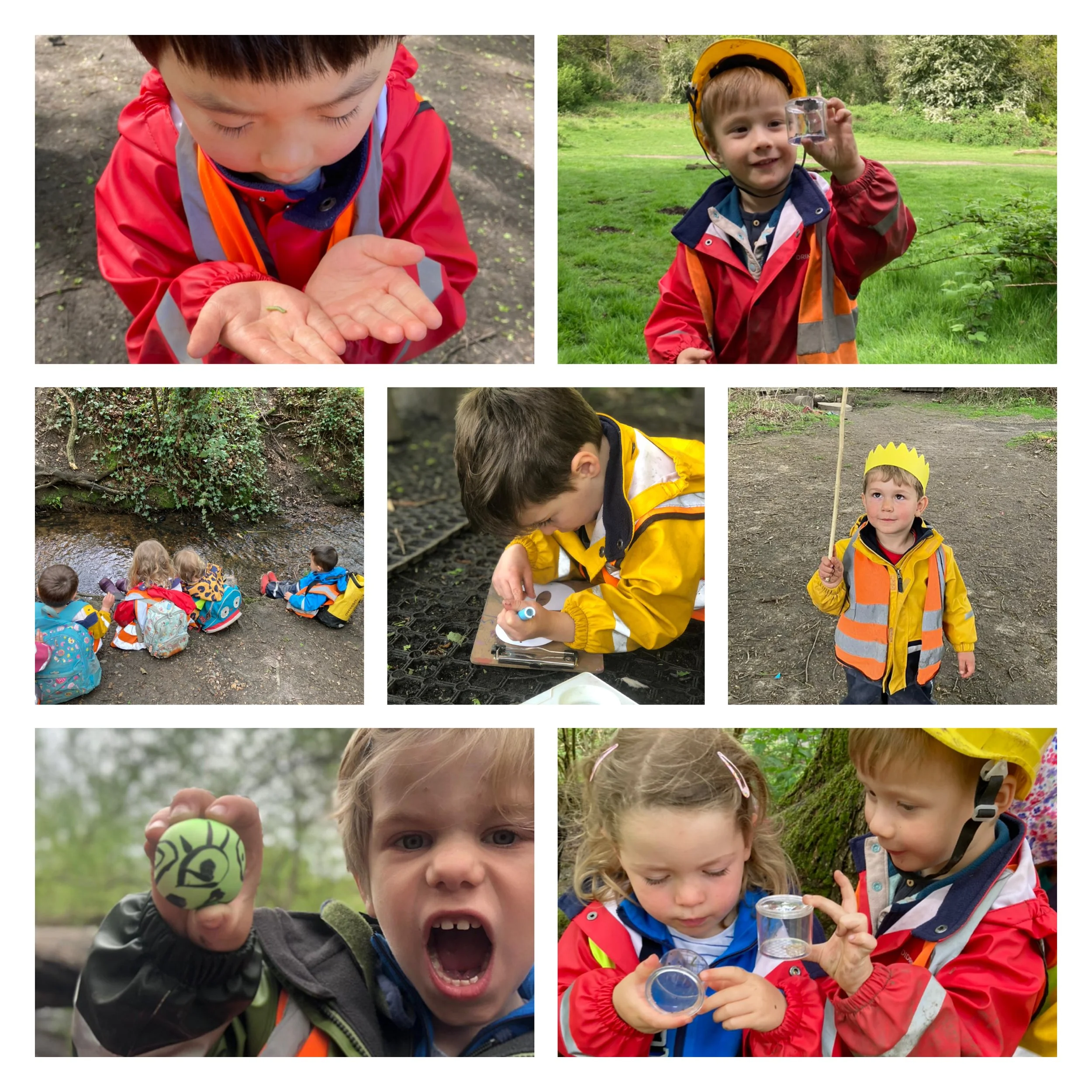 Wimbledon - Bug Hunts and Sensory Balls