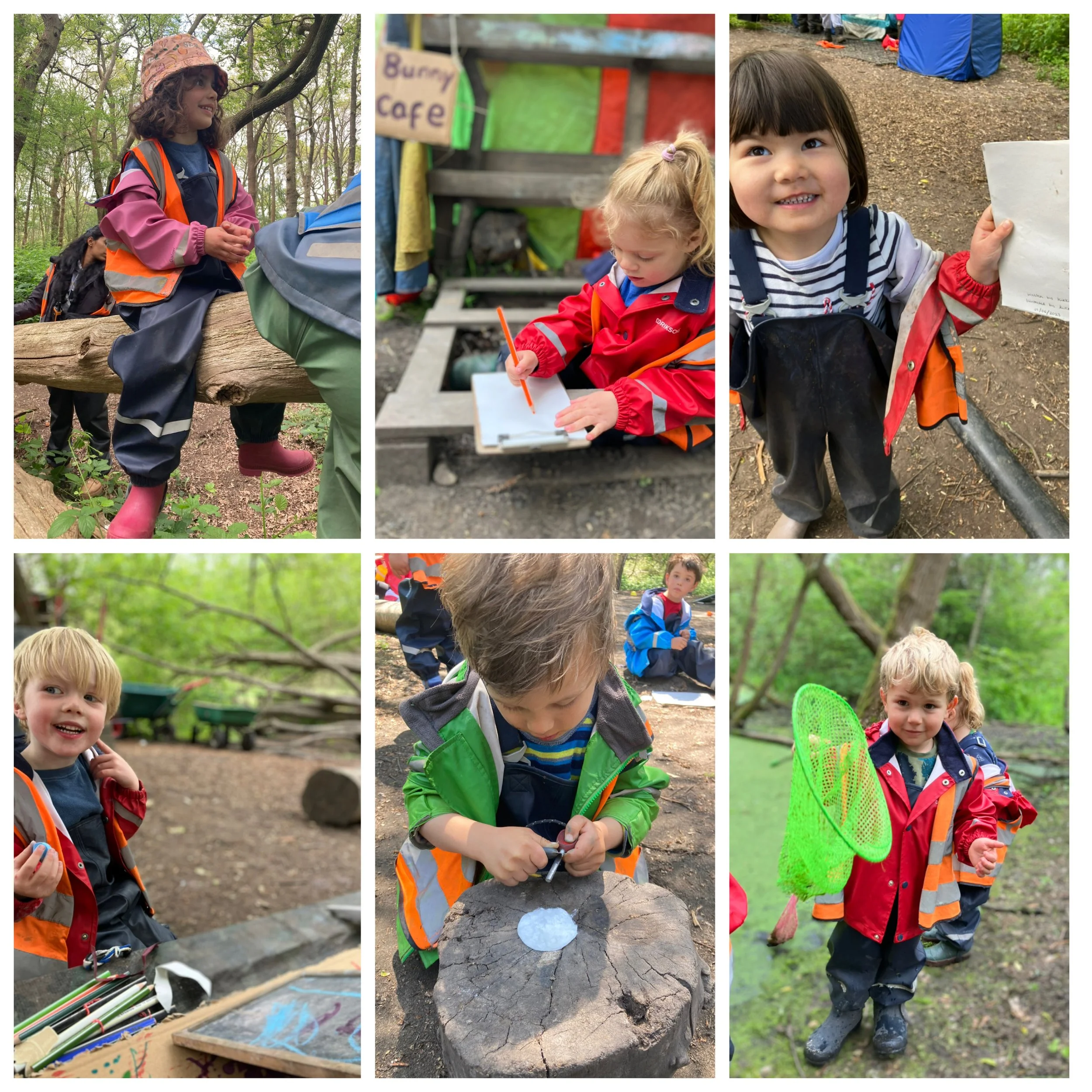 Wimbledon - A Beautiful Sea of Buttercups