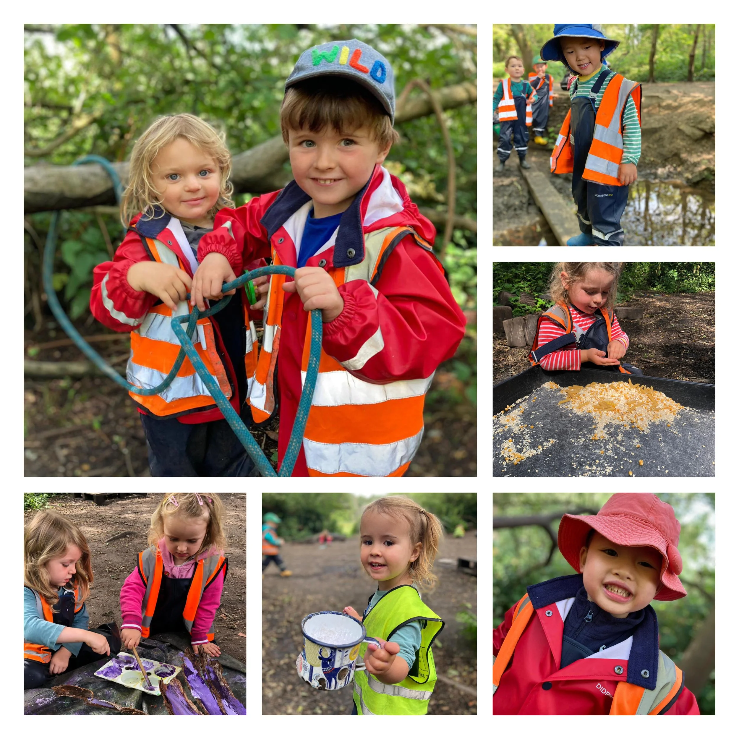 Wimbledon - Roaring Tigers and Slithering Snakes