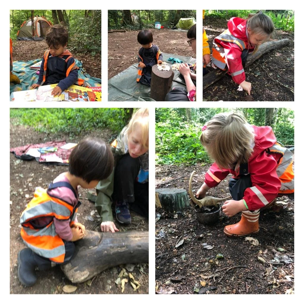 Putney Heath - Bug Hunting, Insect Identifying and Mini Monster Surprises!
