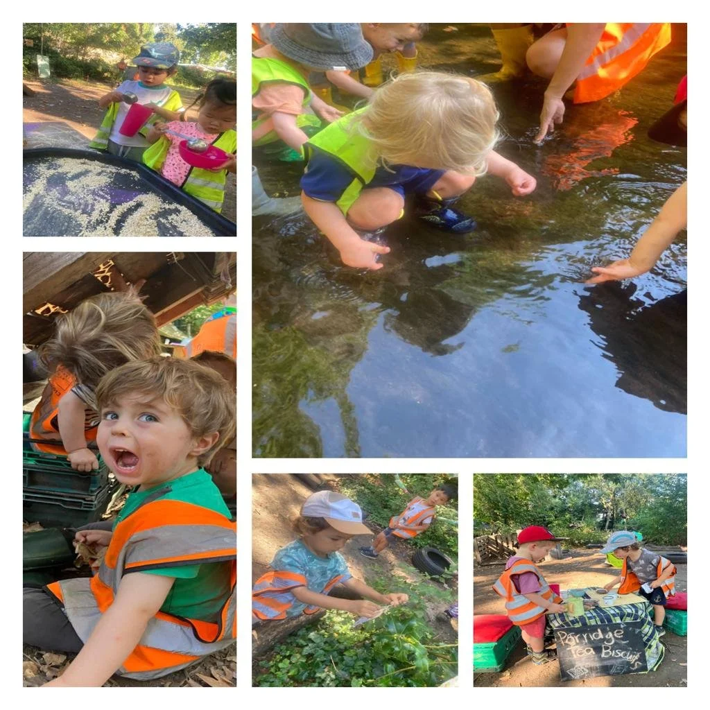 Twickenham - Our Special Animal Friend: The Bear!