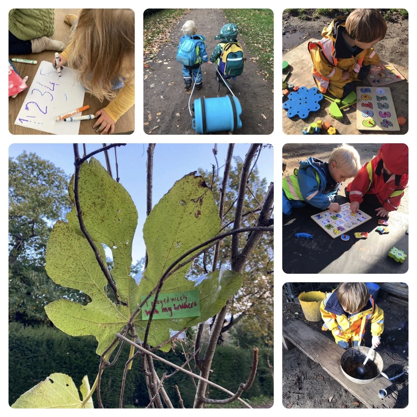 Fulham - Magnificent Kindness Tree