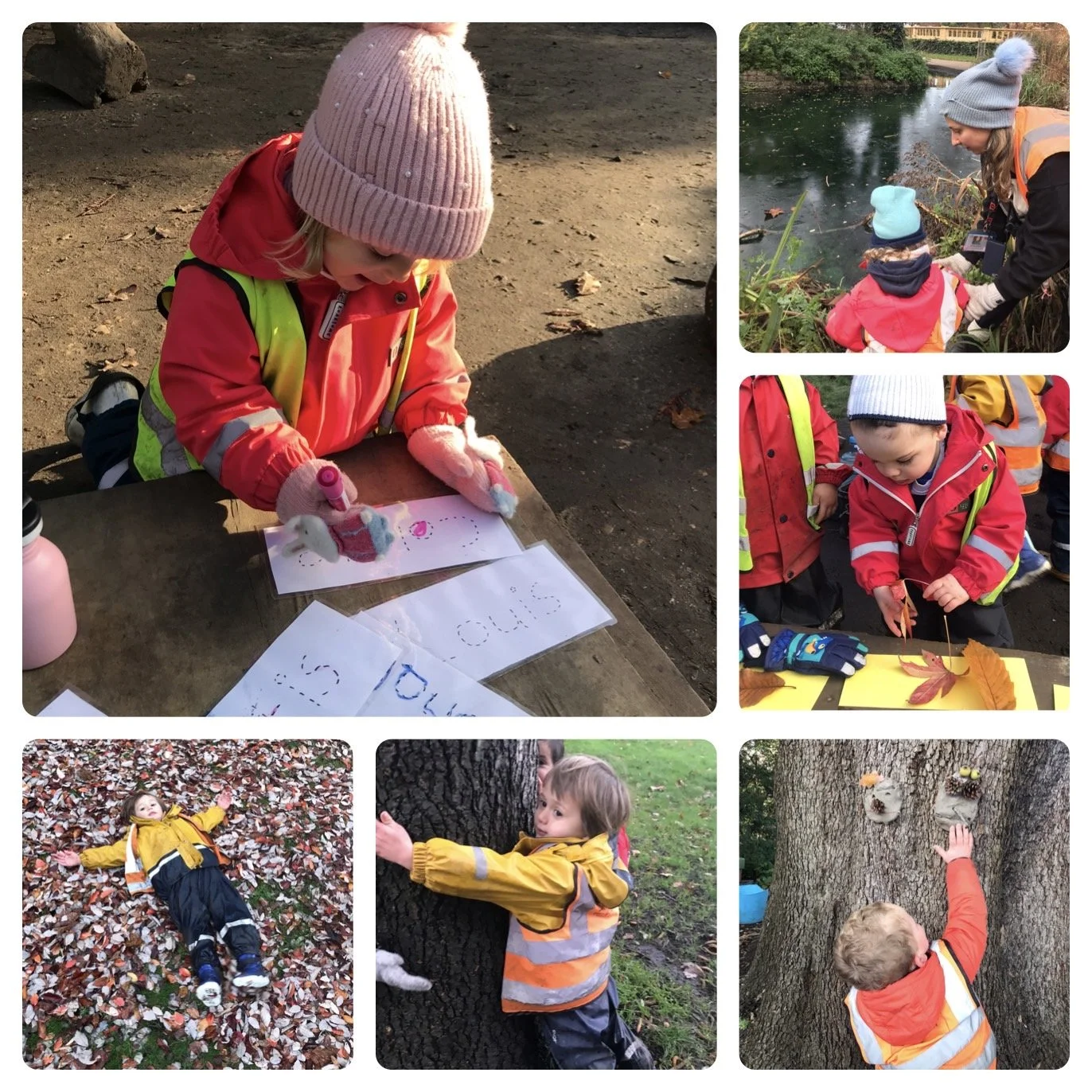 Fulham - National Tree Week!