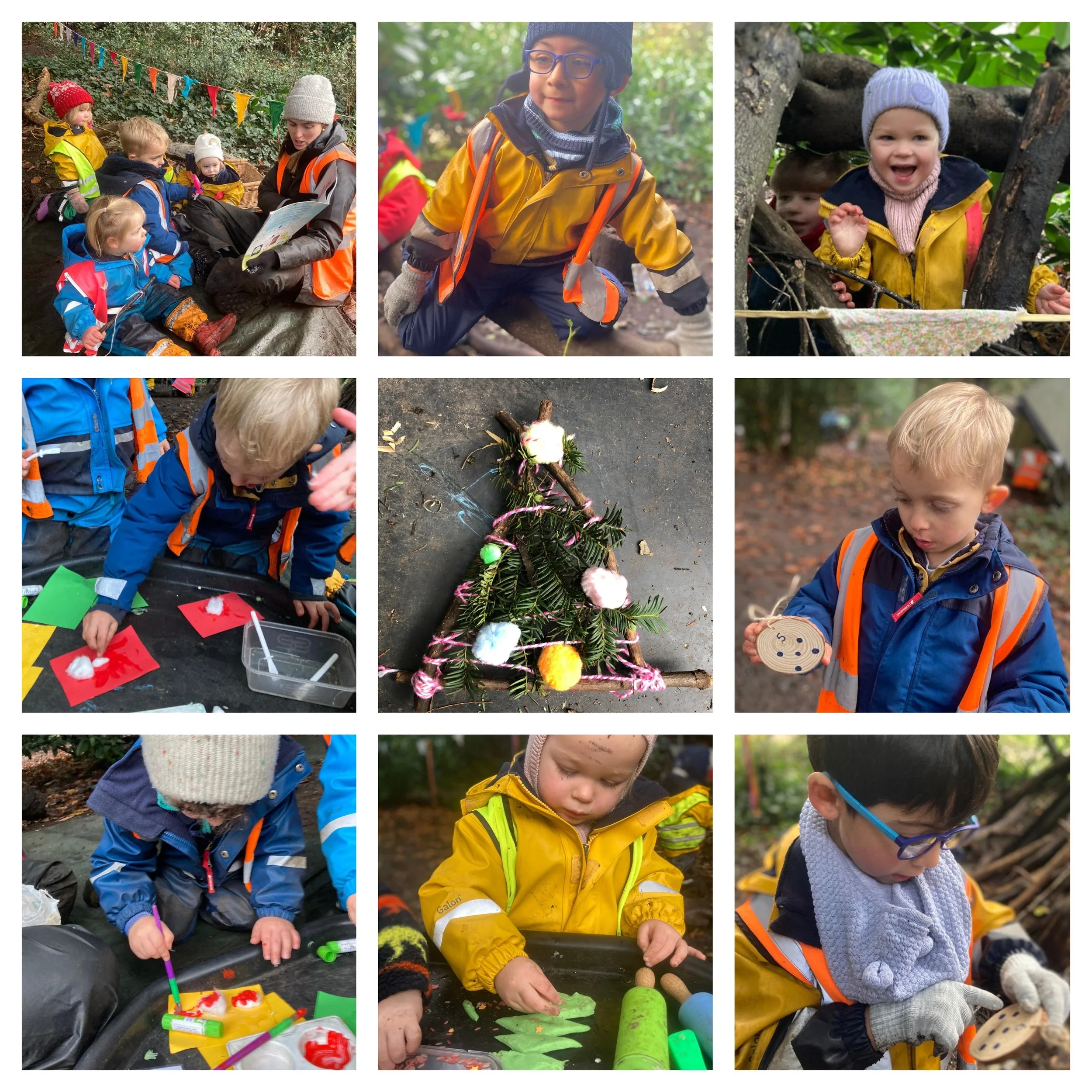 Chiswick - Weekly Wonders in the Winter Forest!