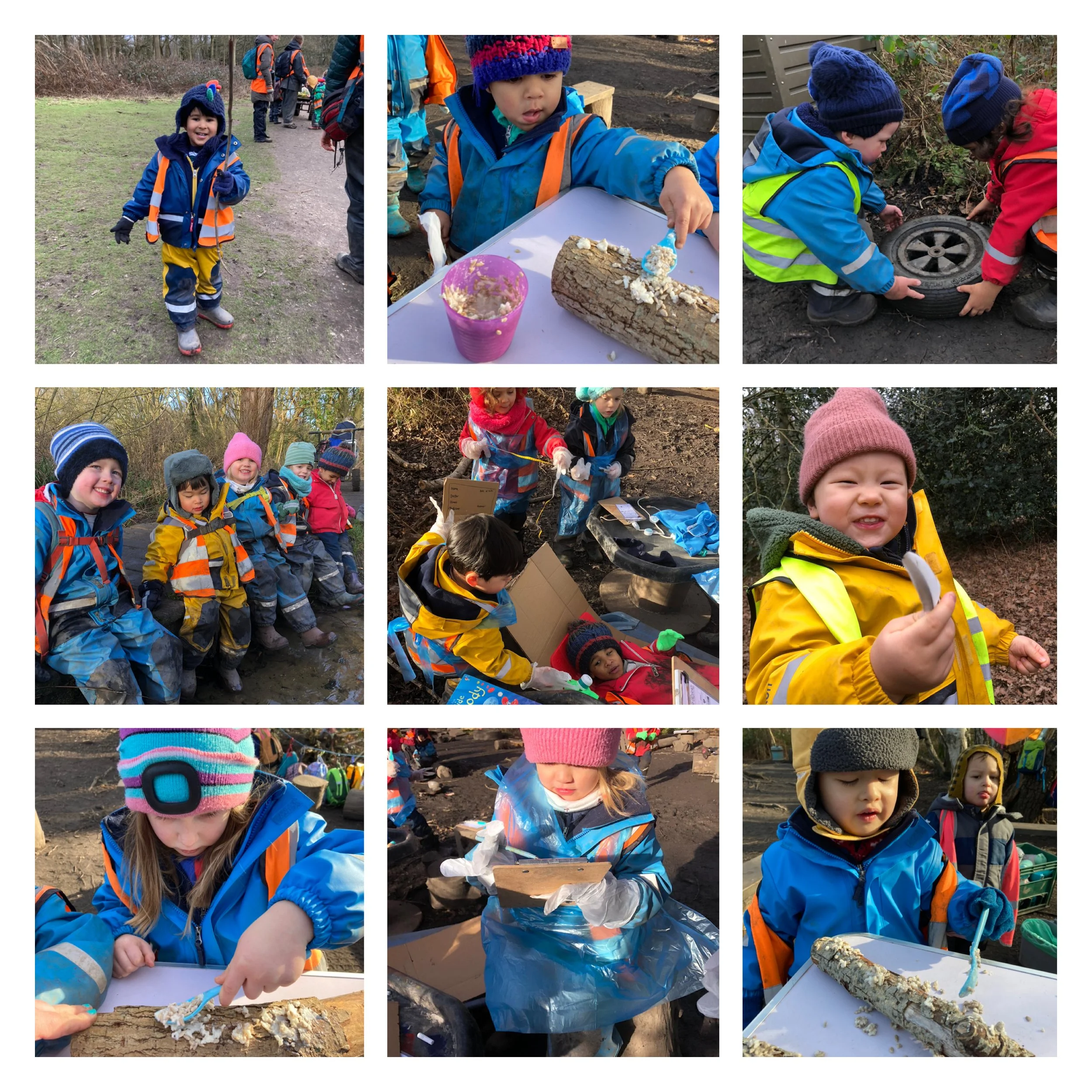 Wimbledon - Little Forest Folk Vets!