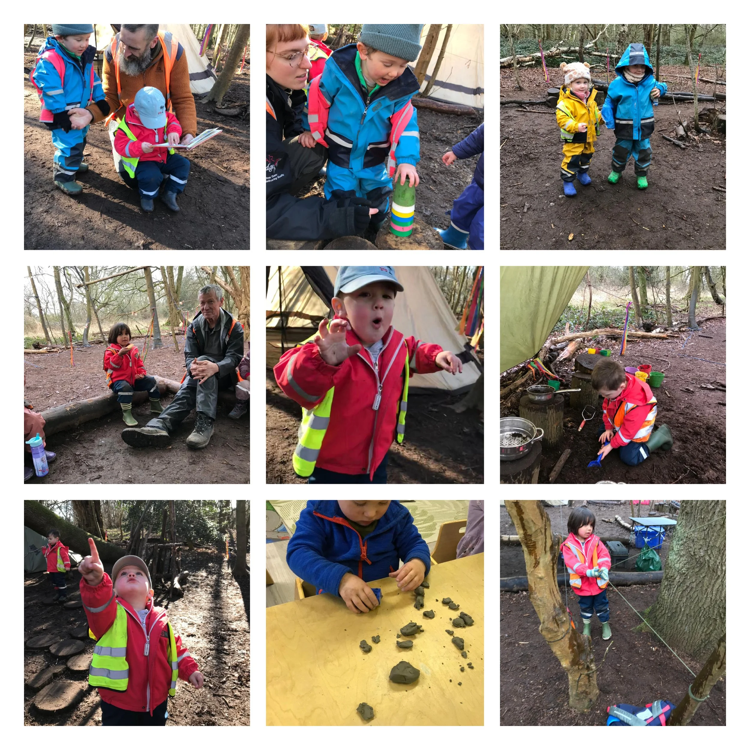 Wandsworth - Tropical Forest Week!