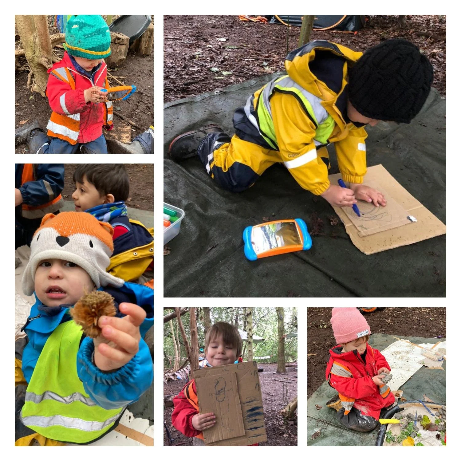 Putney Heath - Colourful and Creative Forest!