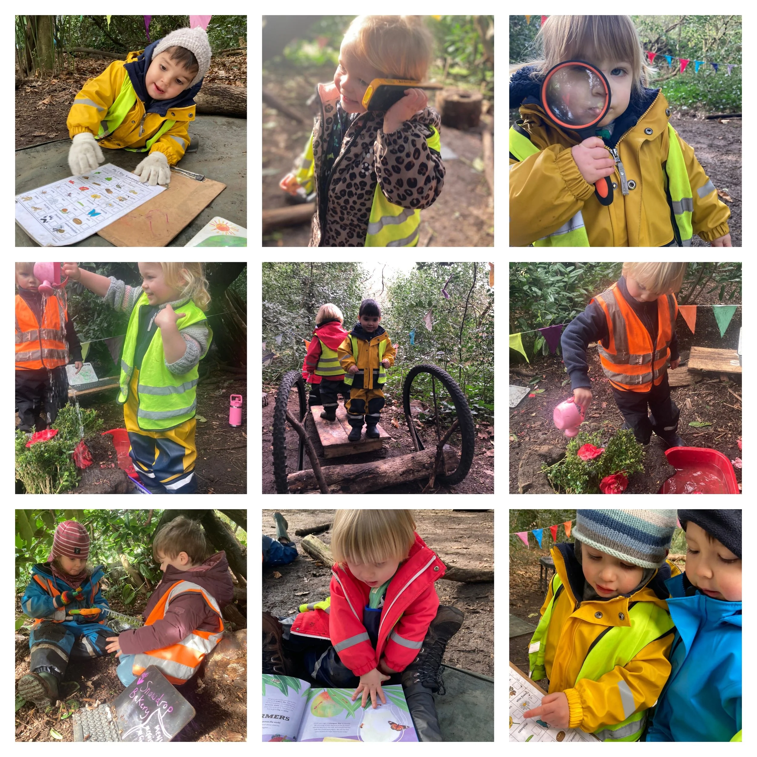 Chiswick -  Bug Hunting Adventures!