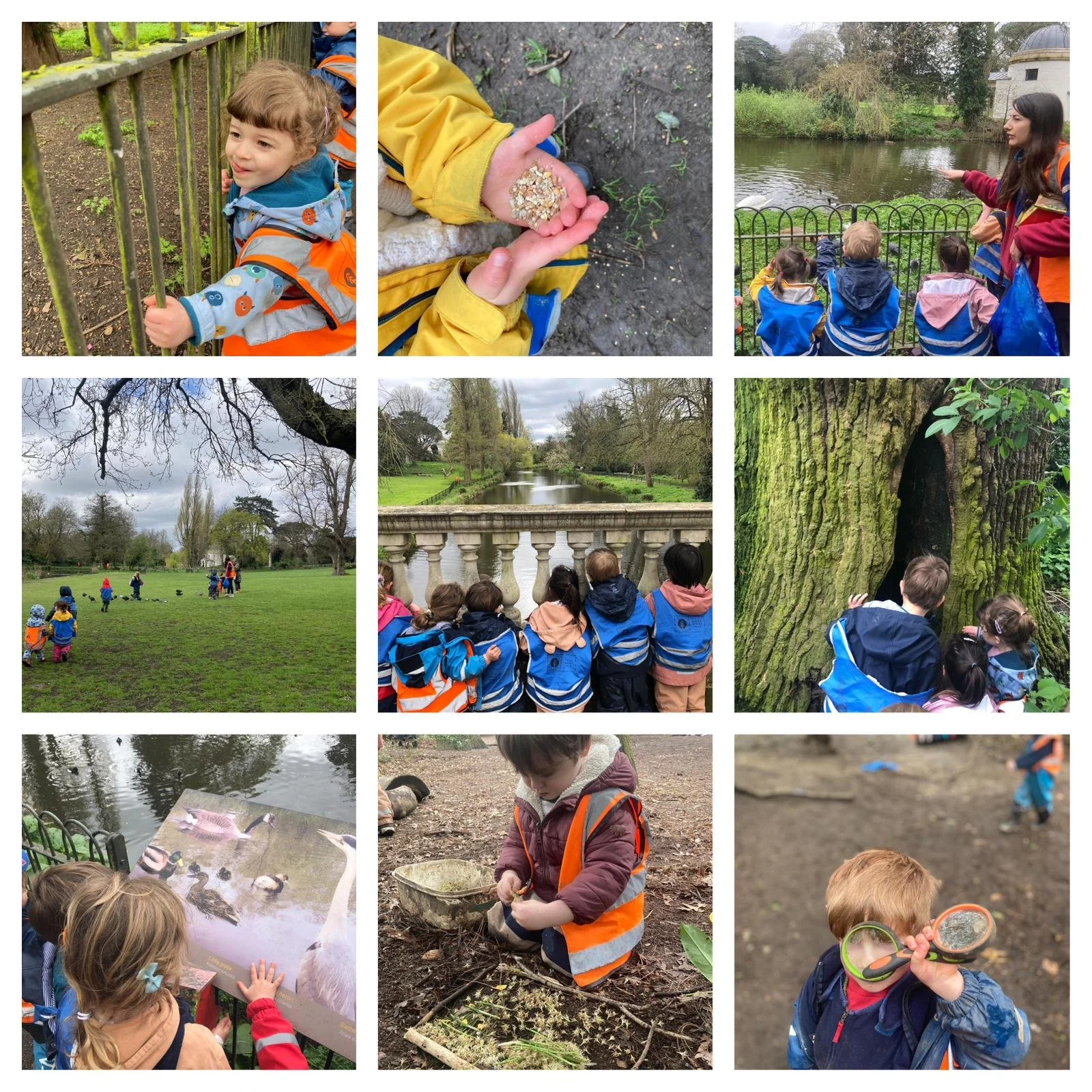 Chiswick - Connecting with Nature!