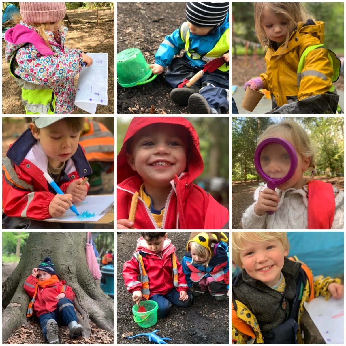 Putney Heath - Dinosaur Discoveries and Fossil Hunts!