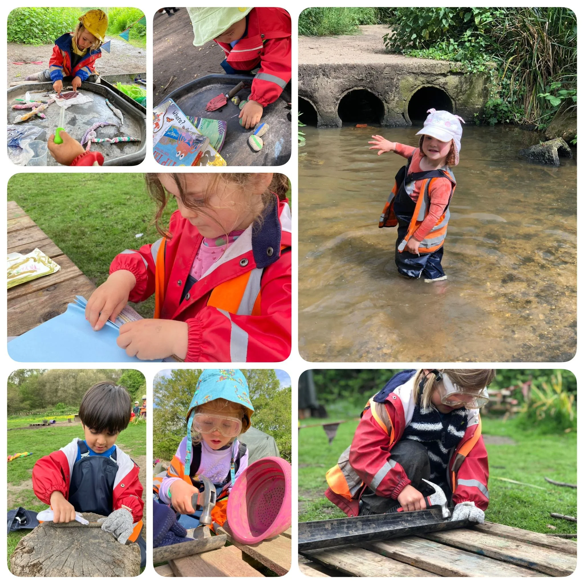 Wimbledon - Colourful Caterpillars!