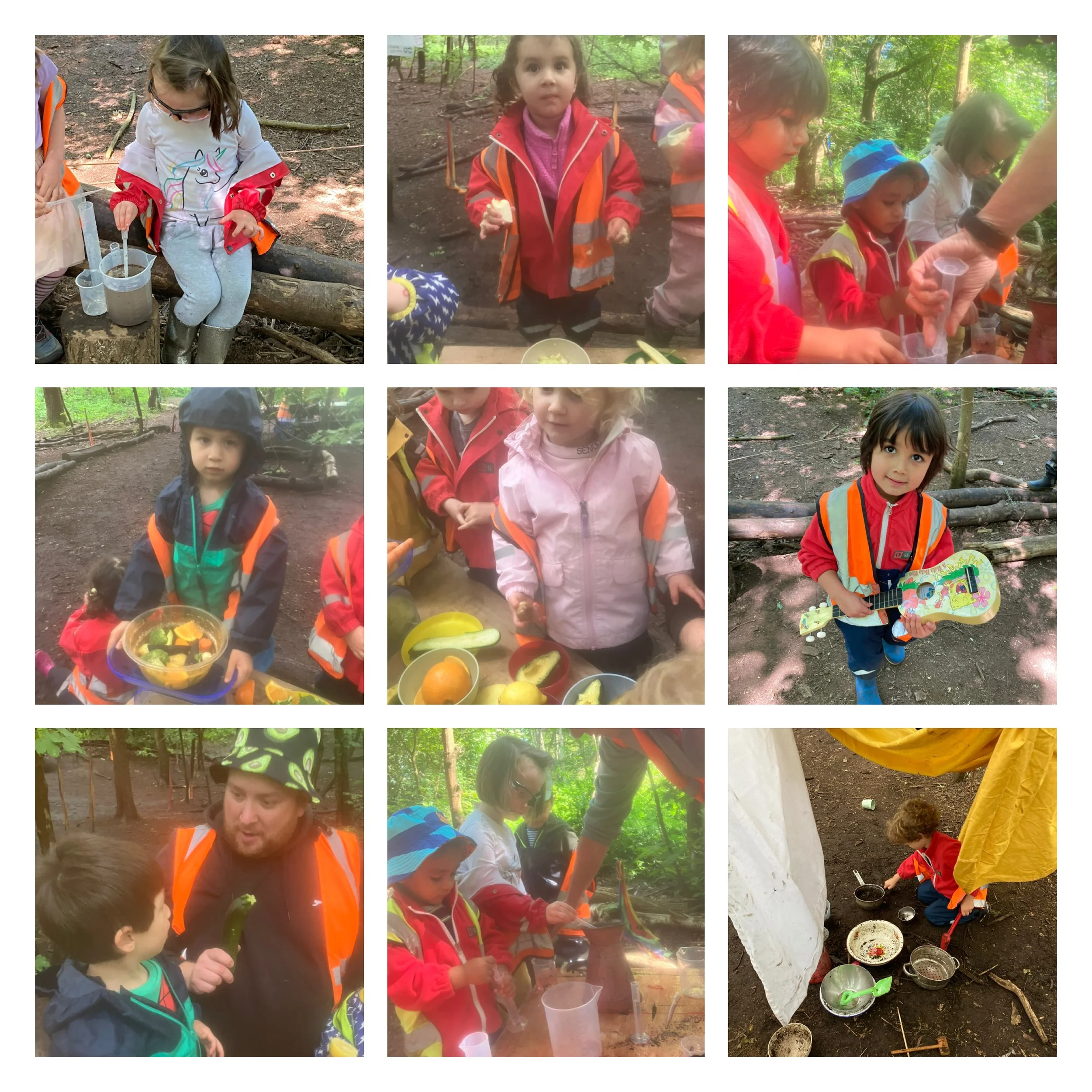 Wimbledon Village - Forest Science Lab!