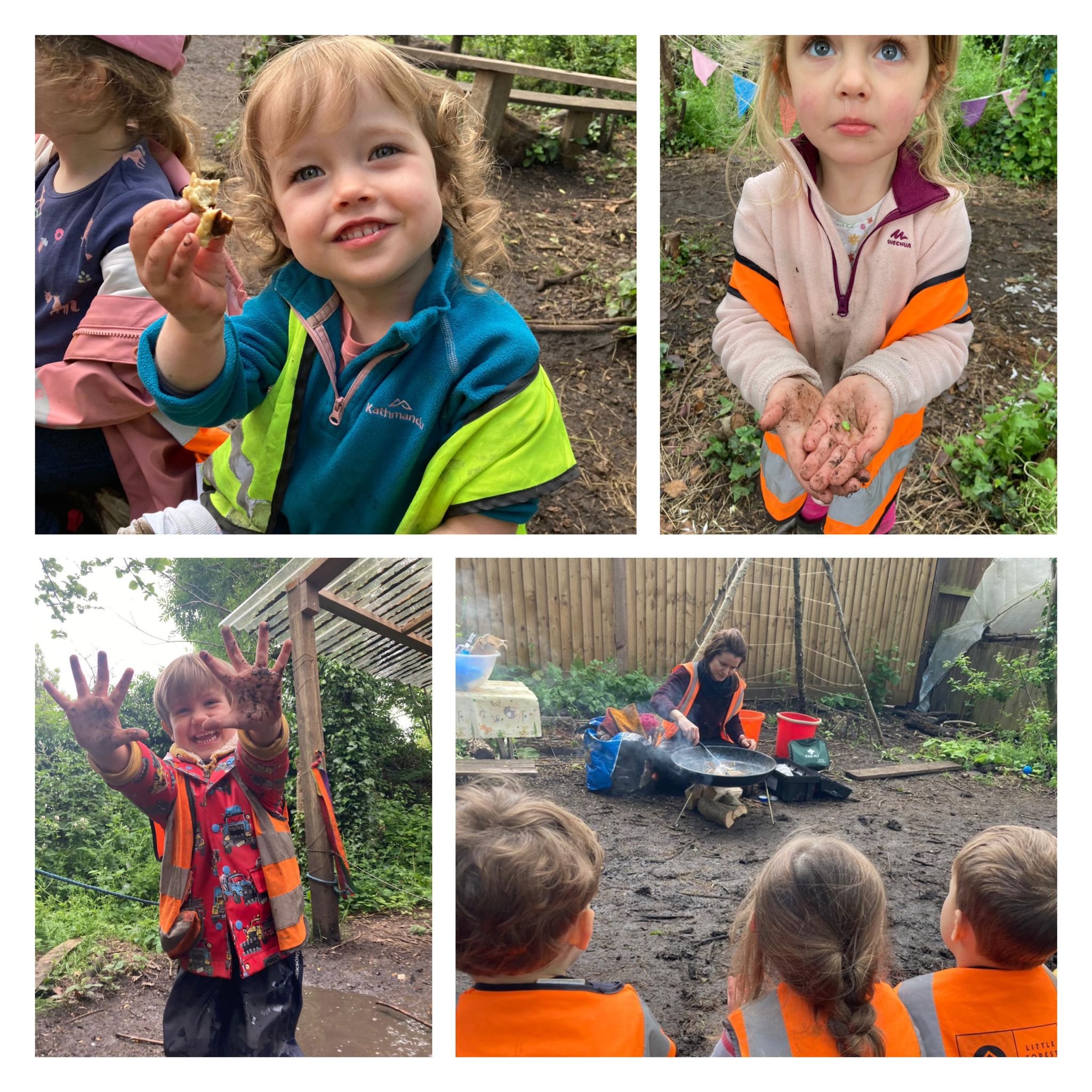 Morden - Butterflies, Bees and Small Baby Birds!