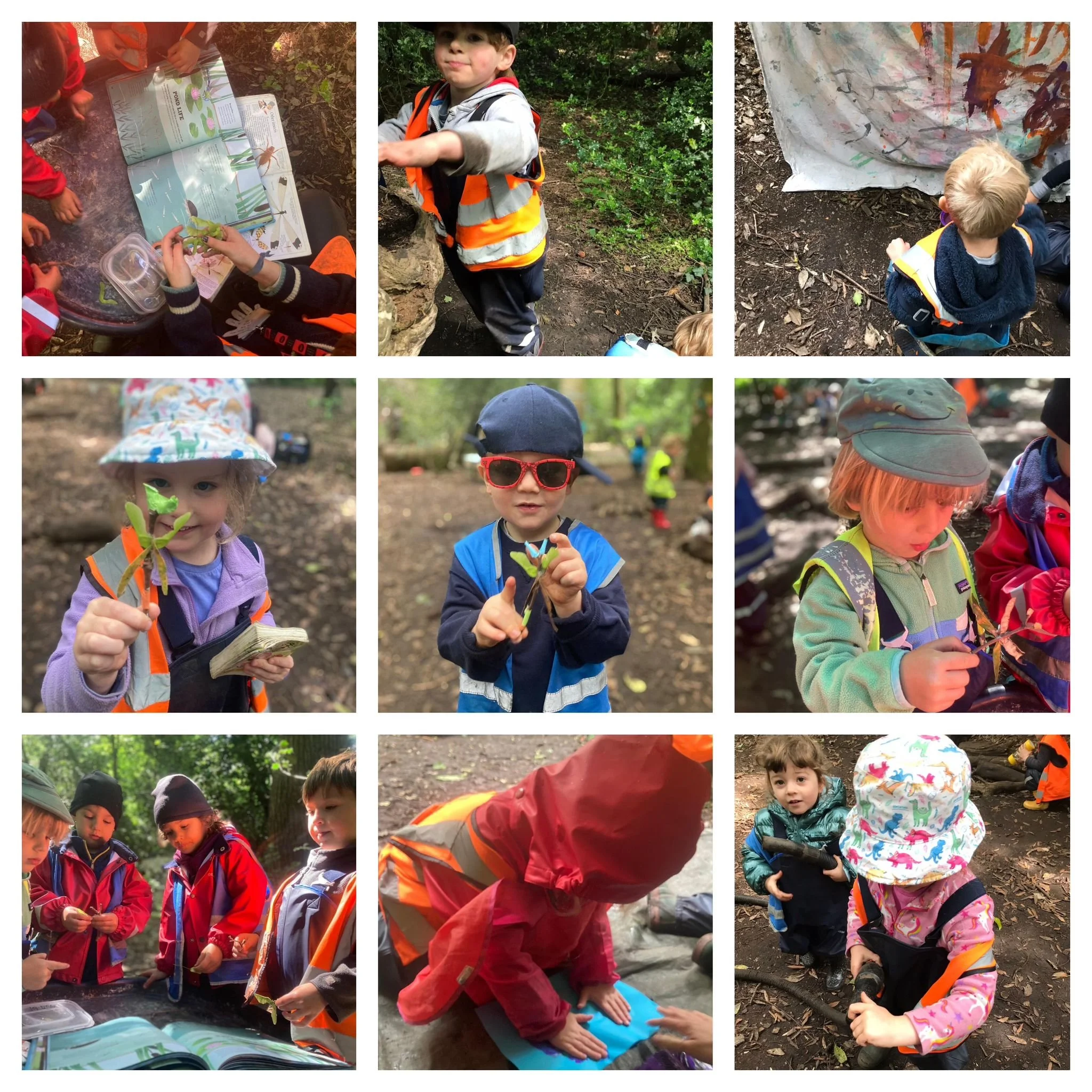 Chiswick - Magnificent Creatures!